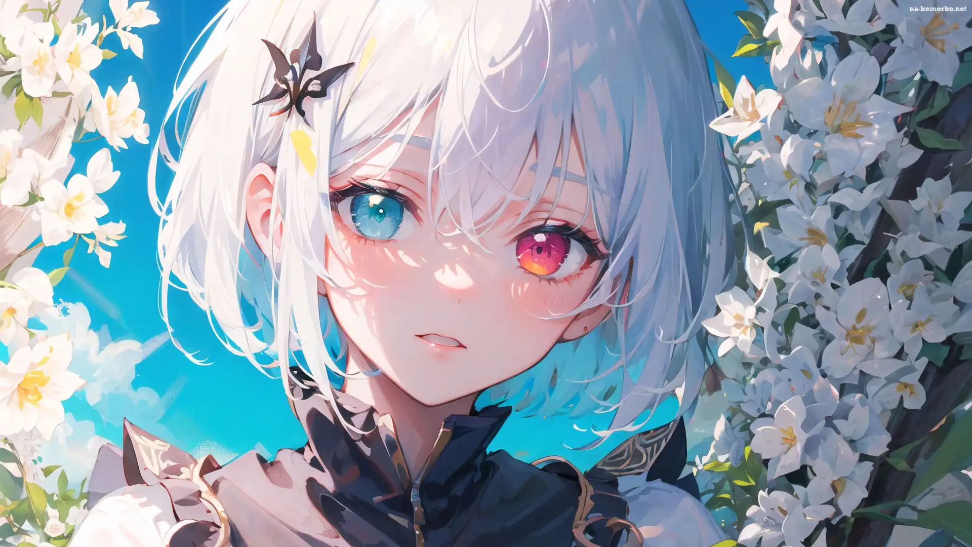 Dziewczyna, Oczy, Anime, Heterochromia, Kwiaty