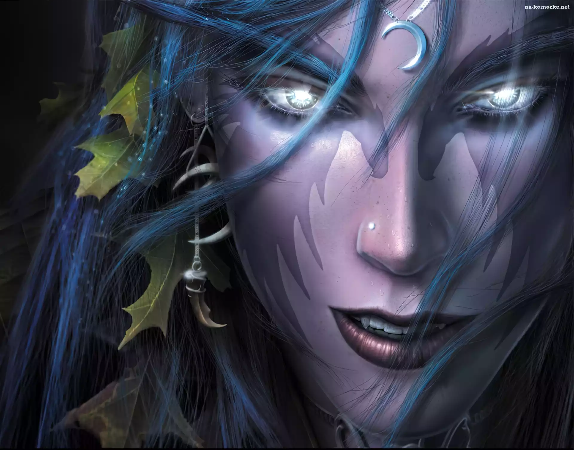 World Of Warcraft, Nocny, Elf