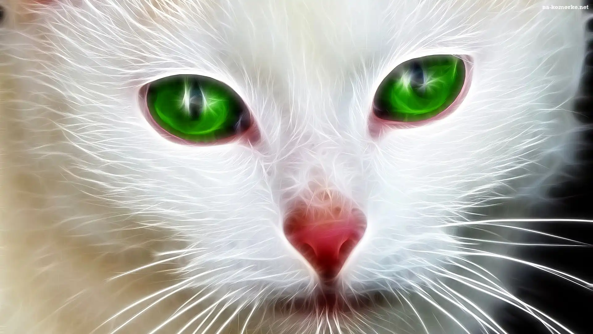 Kot, Oczy, Fractalius, Mordka, Czerwony, Nos, Zielone