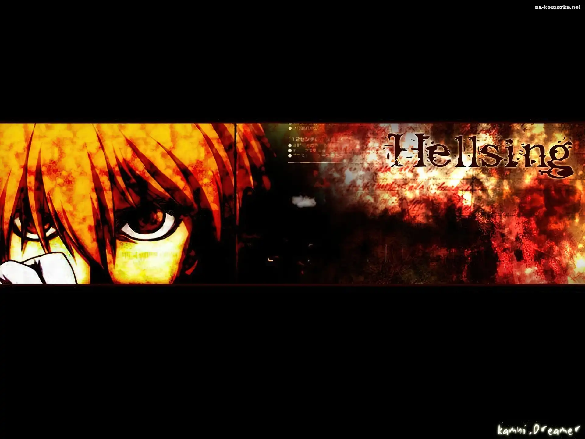 twarz, oczy, Hellsing