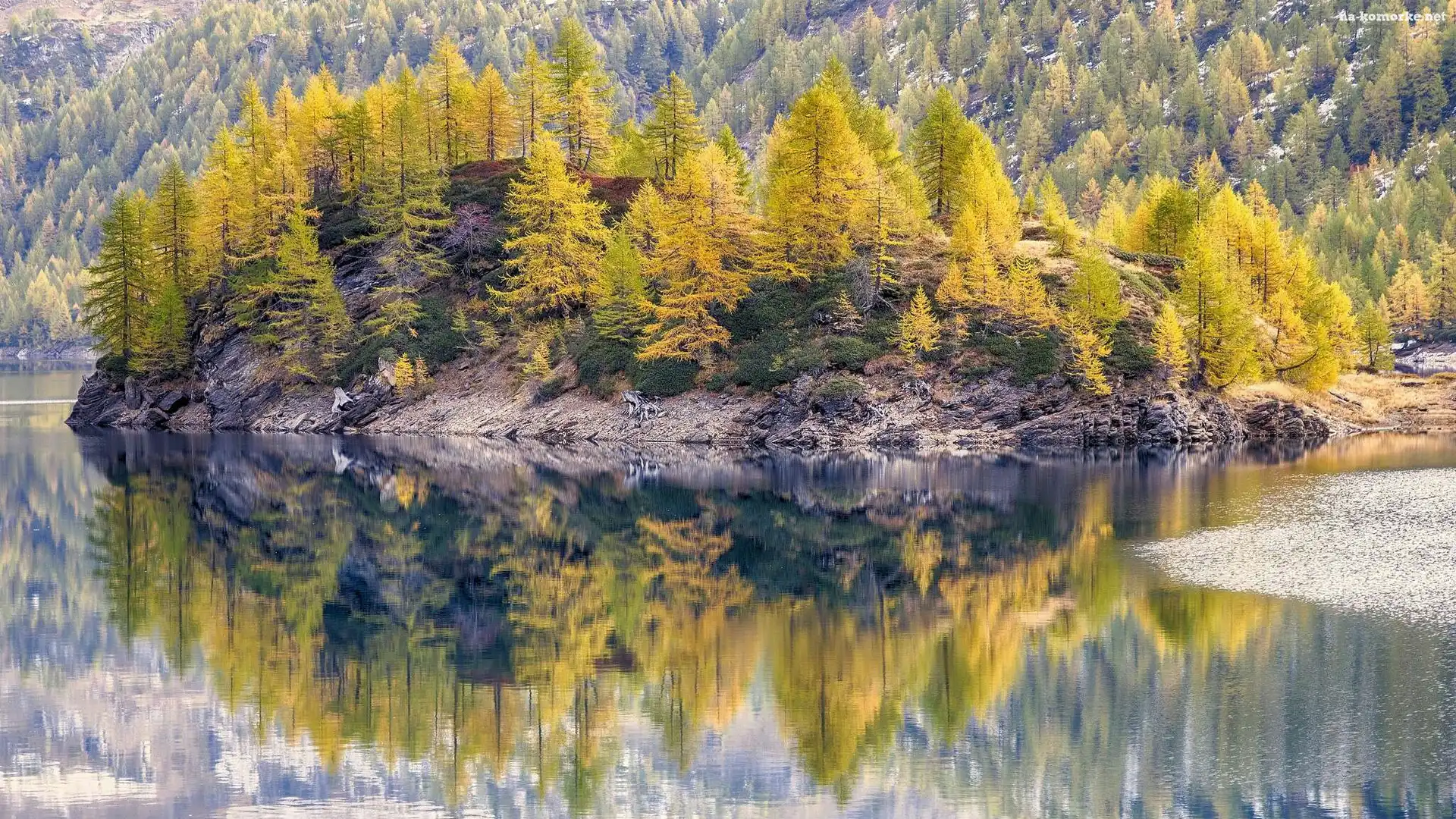 Odbicie, Włochy, Park przyrody Alpe Veglia i Alpe Devero, Jezioro Dévero - Lago di Devero, Drzewa