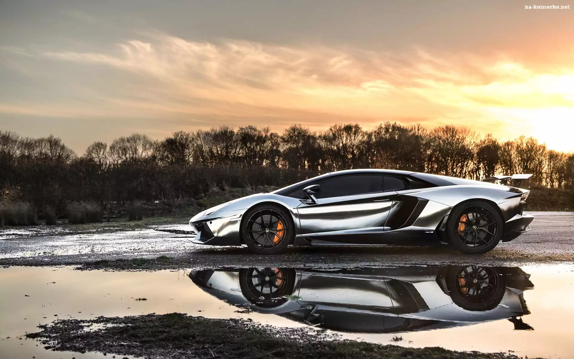 Odbicie, Lamborghini Adventador, Droga, Drzewa, Kałuża