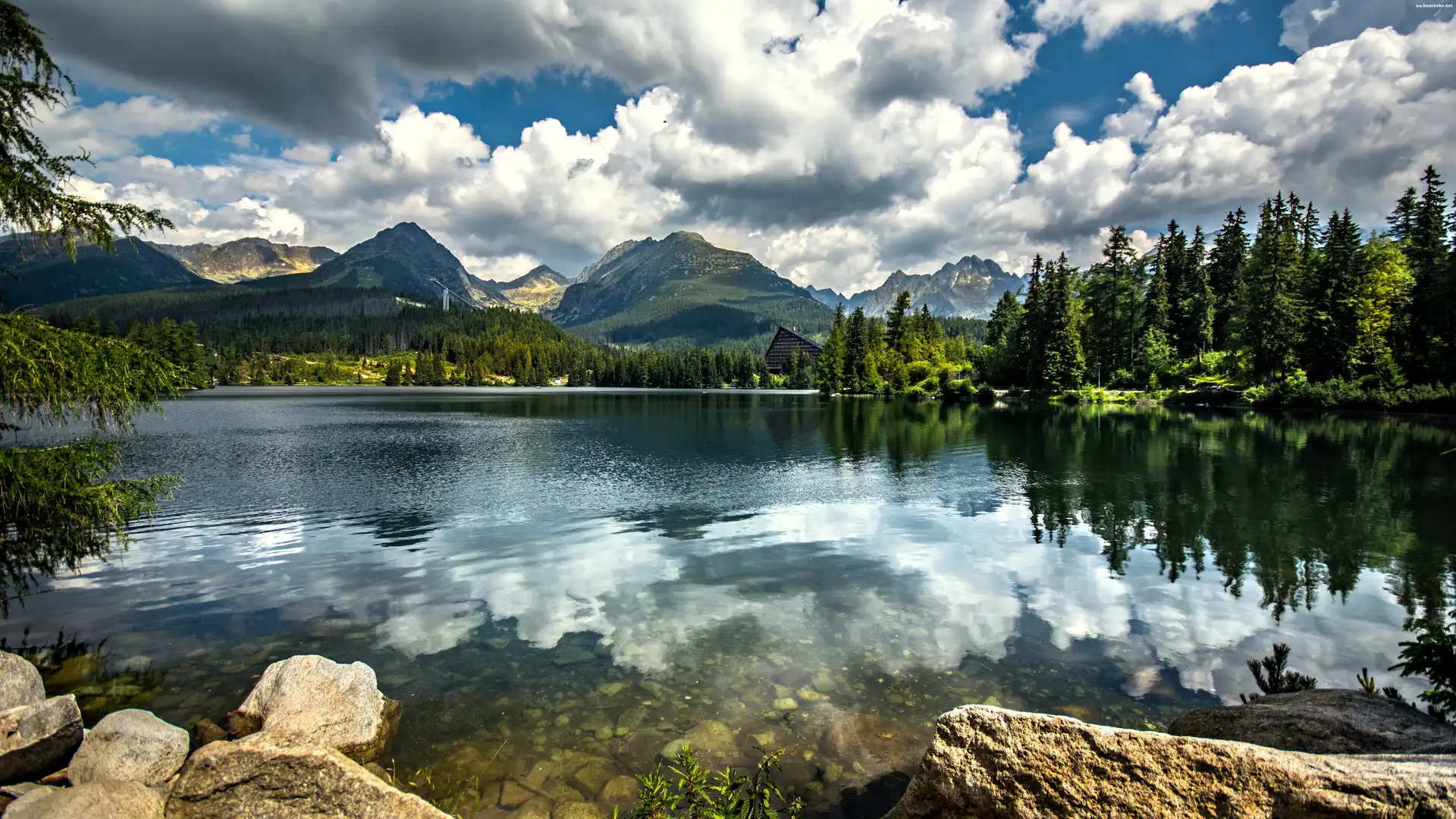 Odbicie, Tatry Wysokie, Słowacja, Jezioro, Lasy