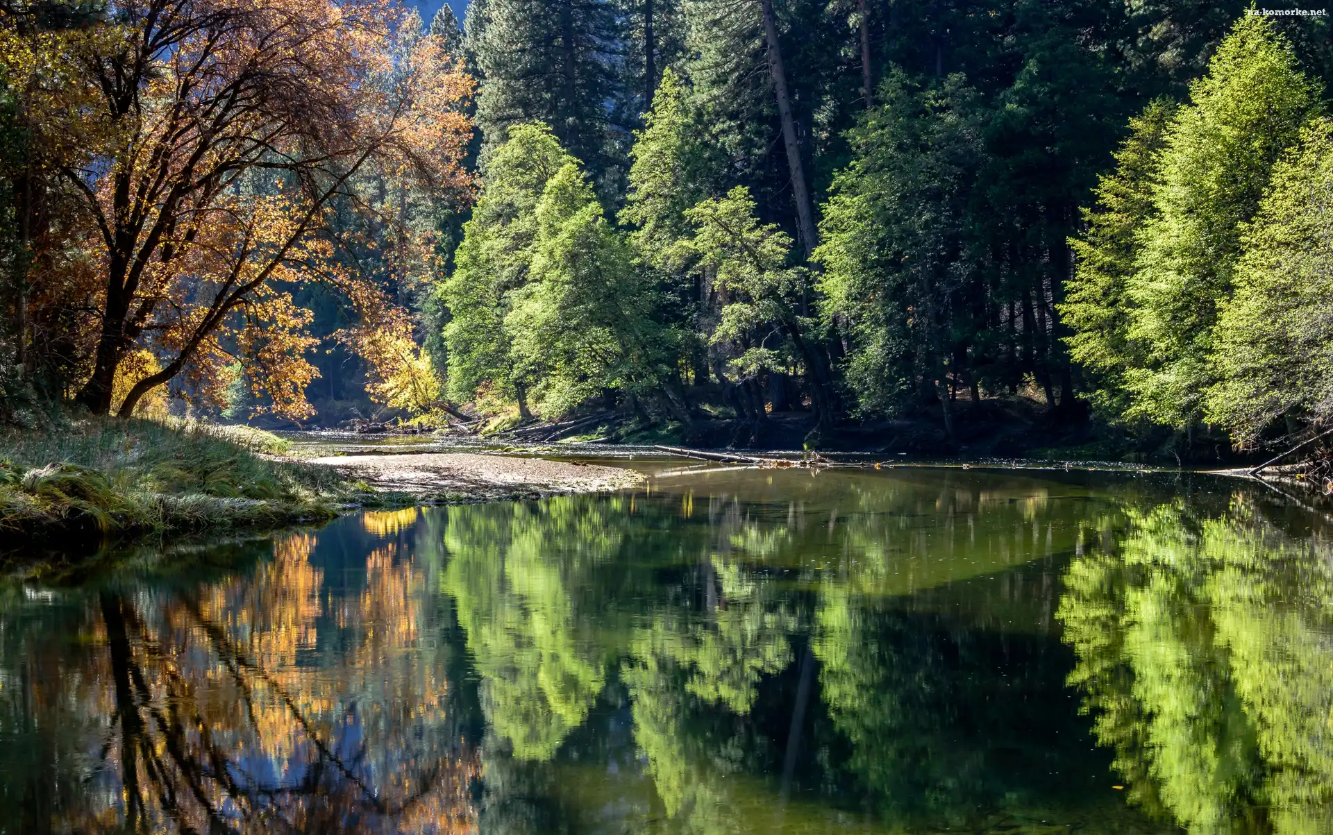 Stany Zjednoczone, Odbicie, Drzewa, Stan Kalifornia, Park Narodowy Yosemite, Rzeka, Las