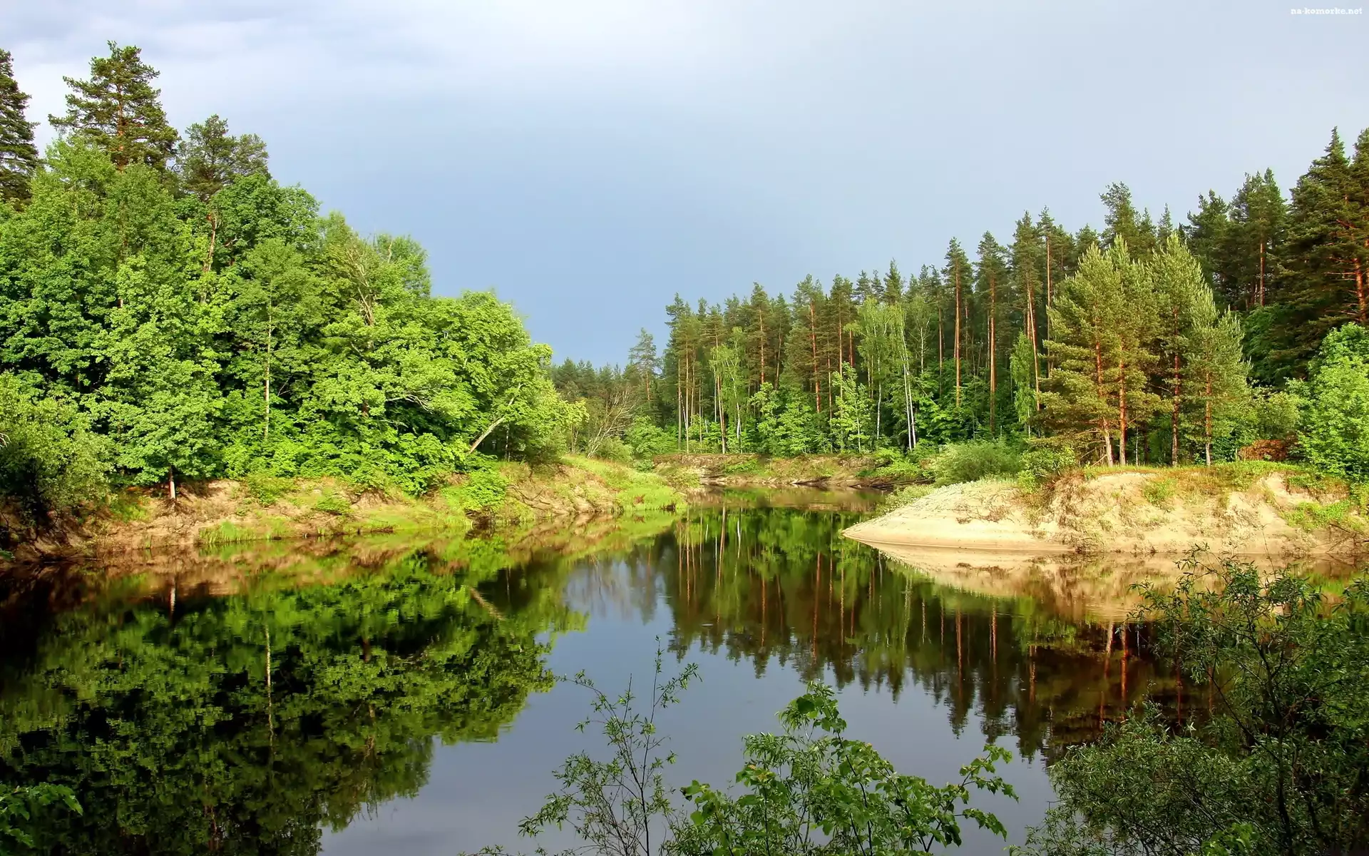 Odbicie, Jezioro, Las, Światło, Cień