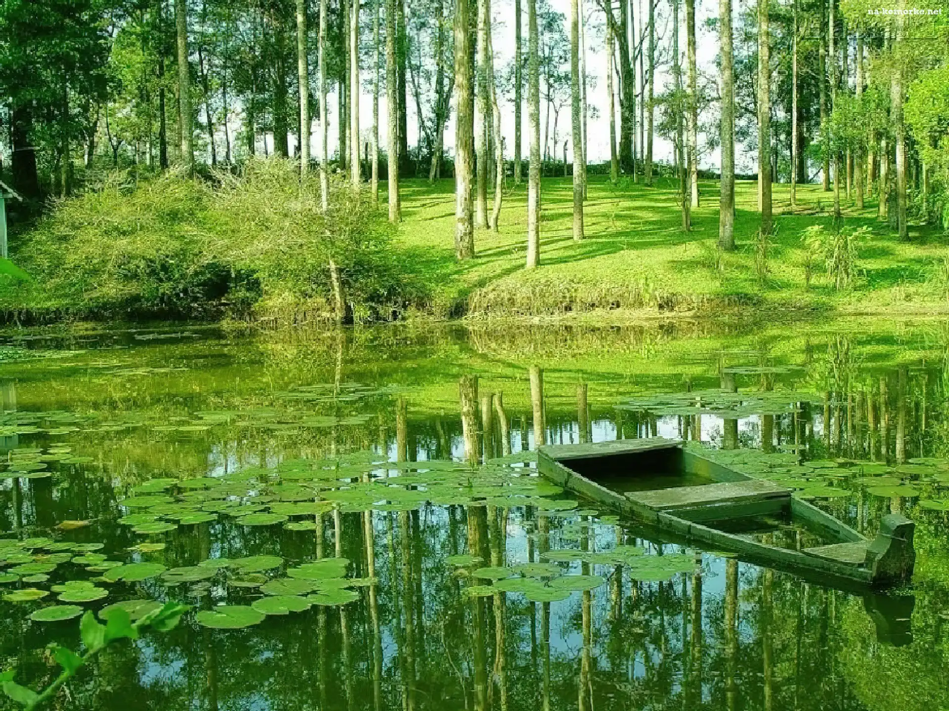 Jeziorko, Łódka, Las