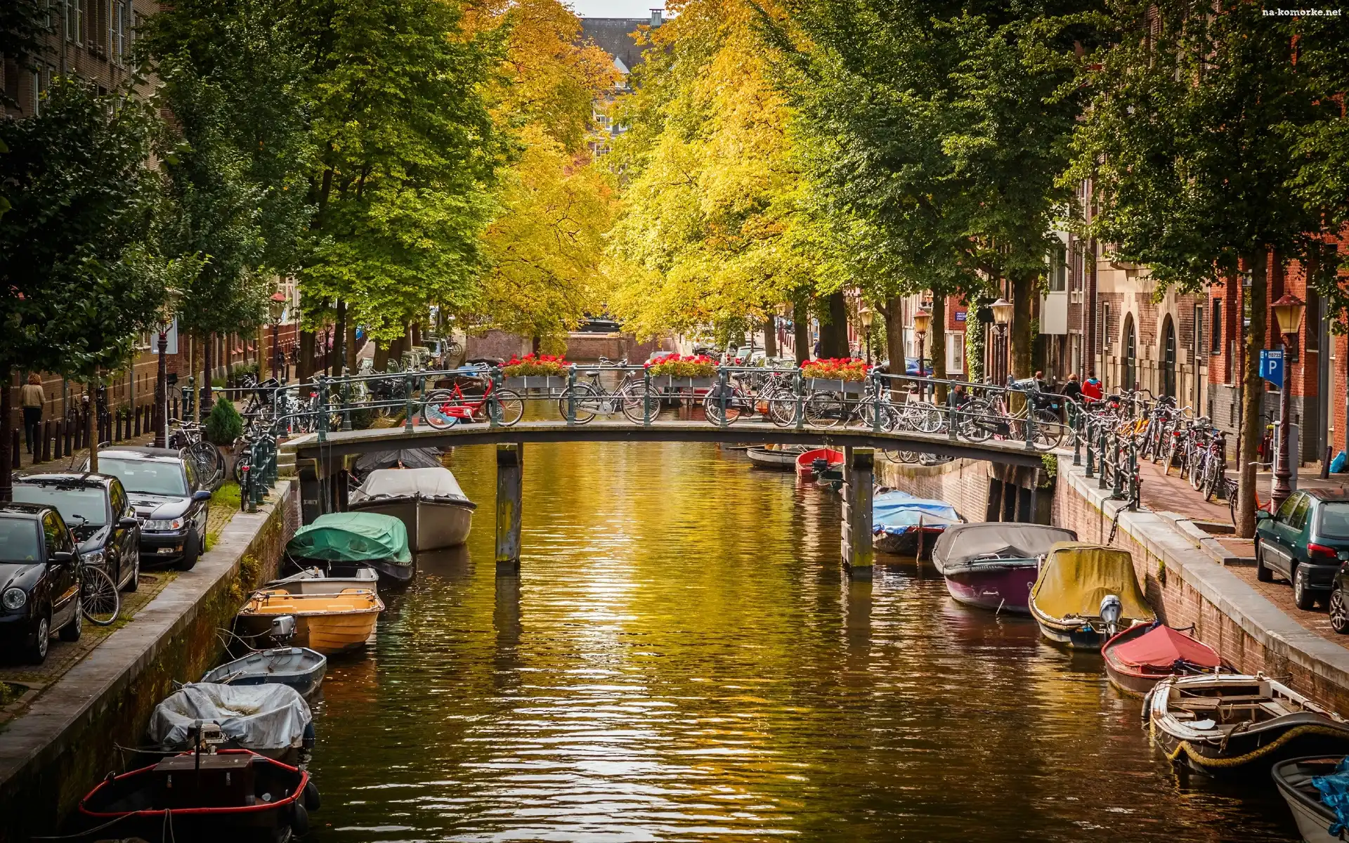 Łodzie, Amsterdam, Holandia, Jesień, Kanał, Most
