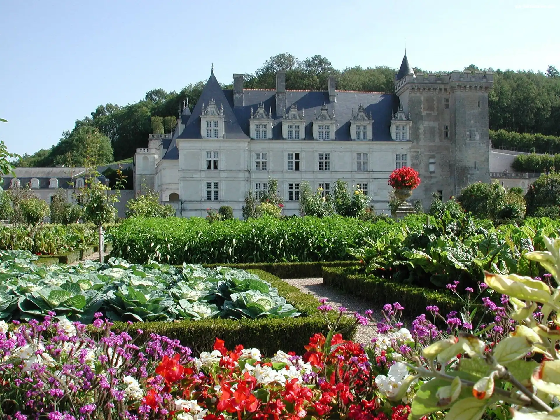 Ogród, Zamek w Villandry, Château de Villandry, Francja, Villandry