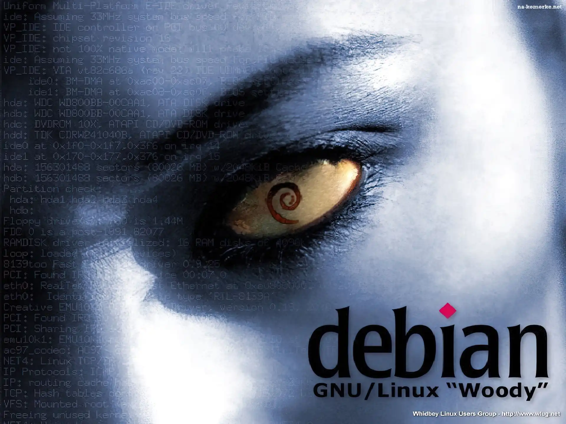 grafika, oko, rzęsy, muszla, ślimak, zawijas, Linux Debian