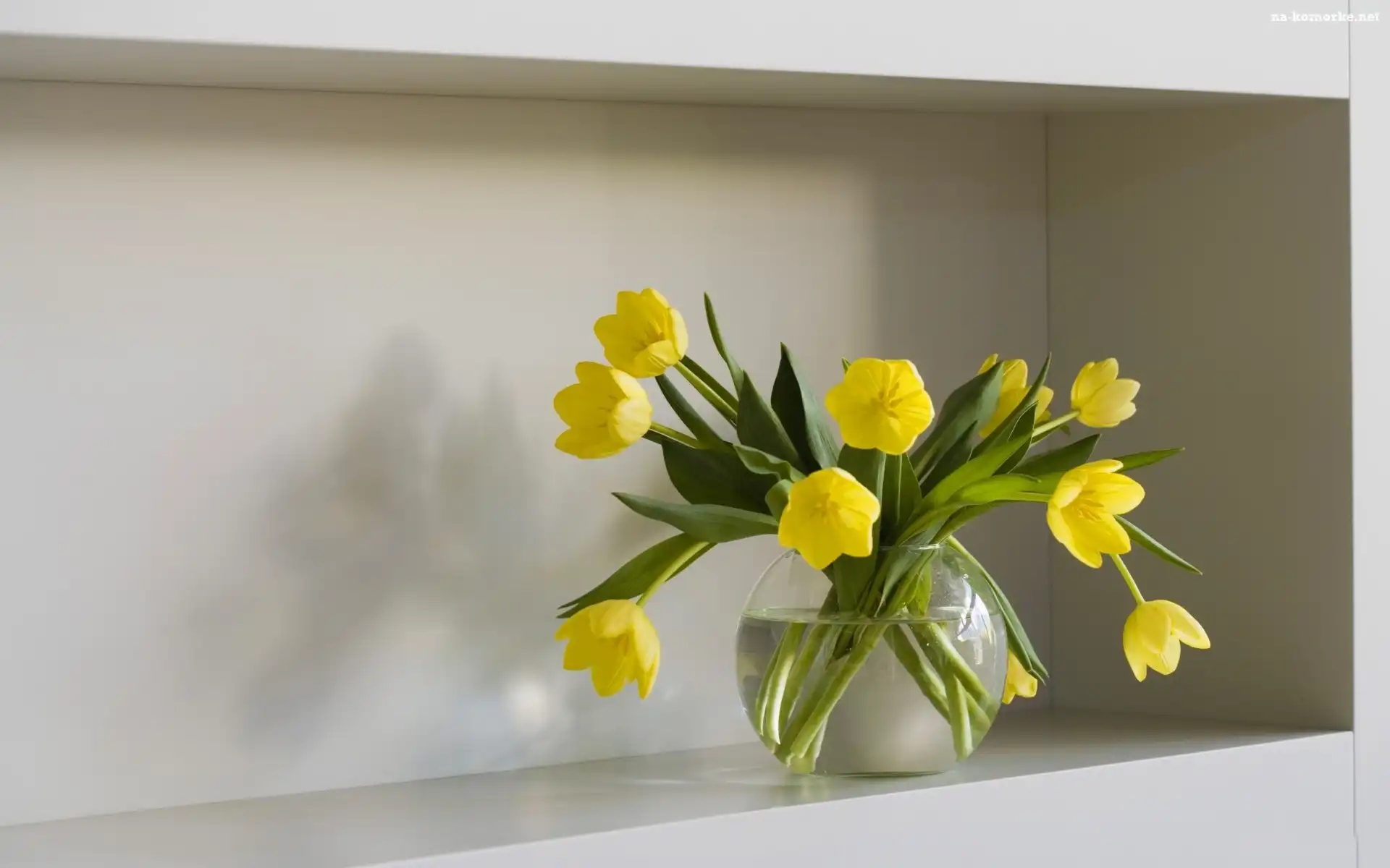 Żółte, Tulipany