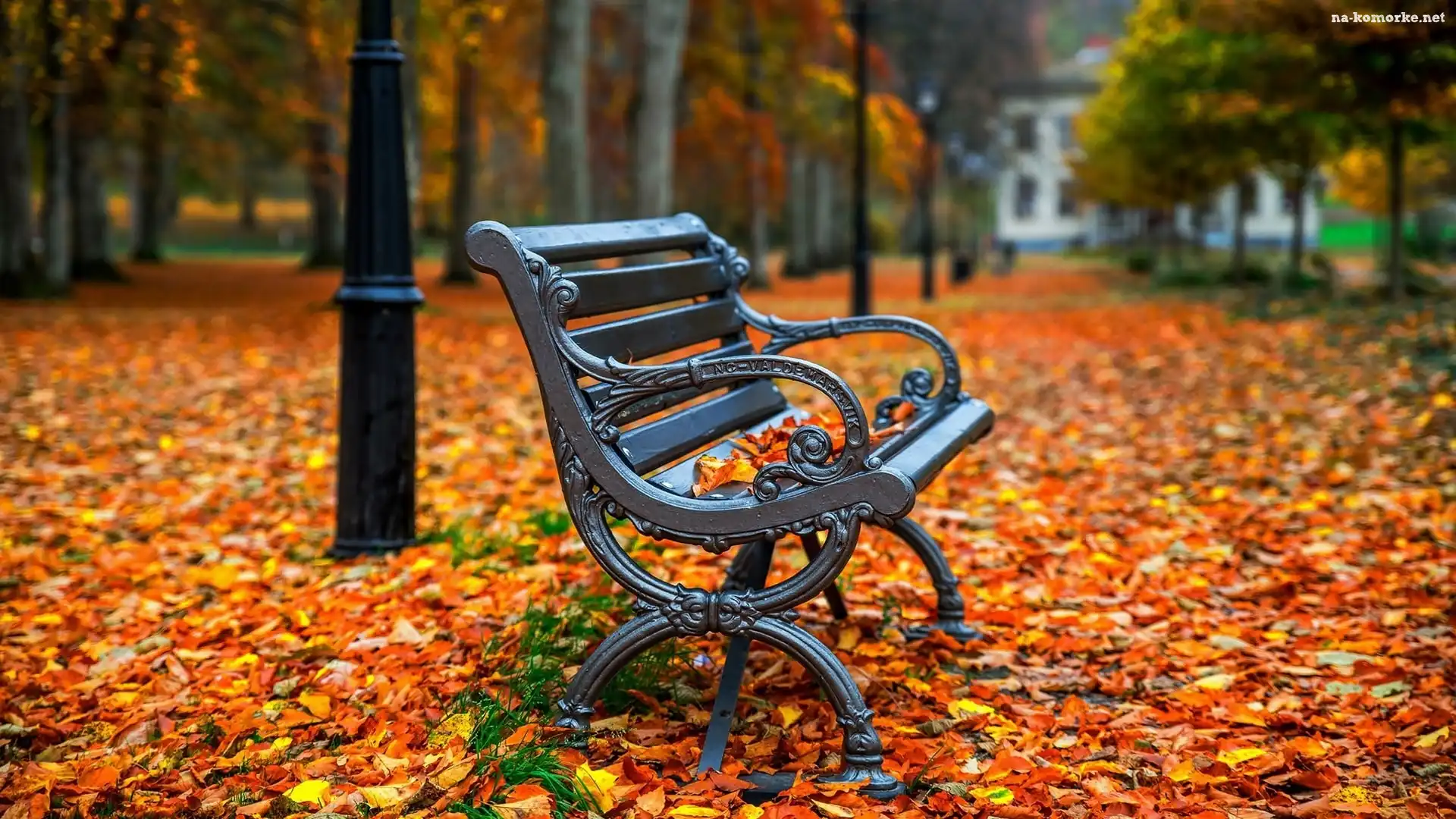 Opadłe, Park, Ławka, Jesień, Drzewa, Liście