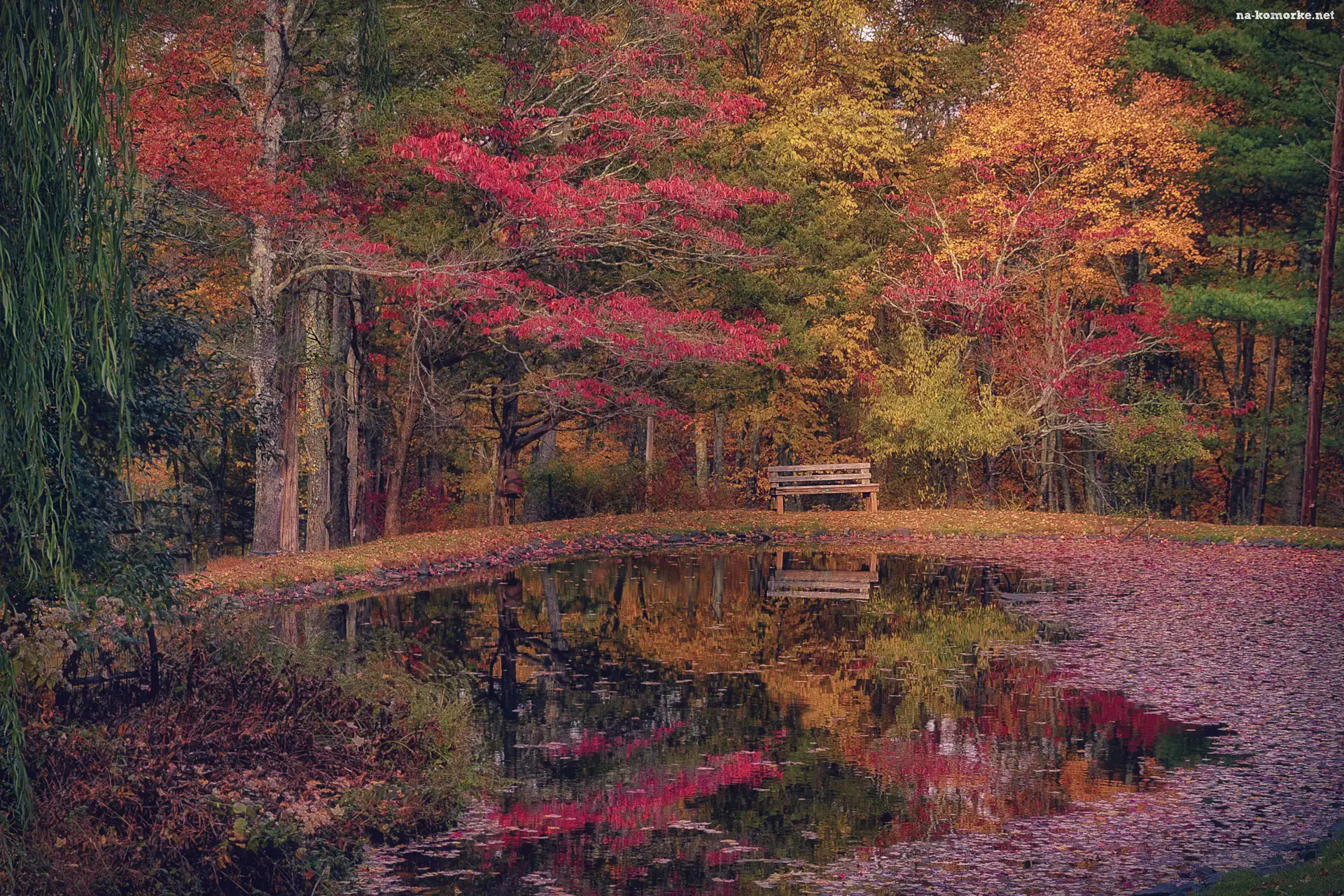 Opadłe, Park, Jesień, Ławka, Staw, Liście