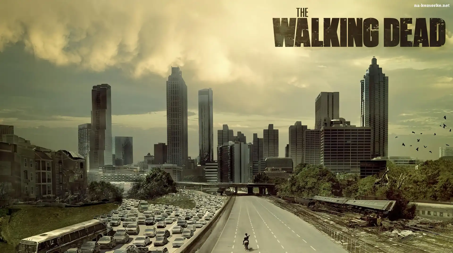 Auta, Żywe trupy, The Walking Dead, Miasto, Opuszczone, Ulica