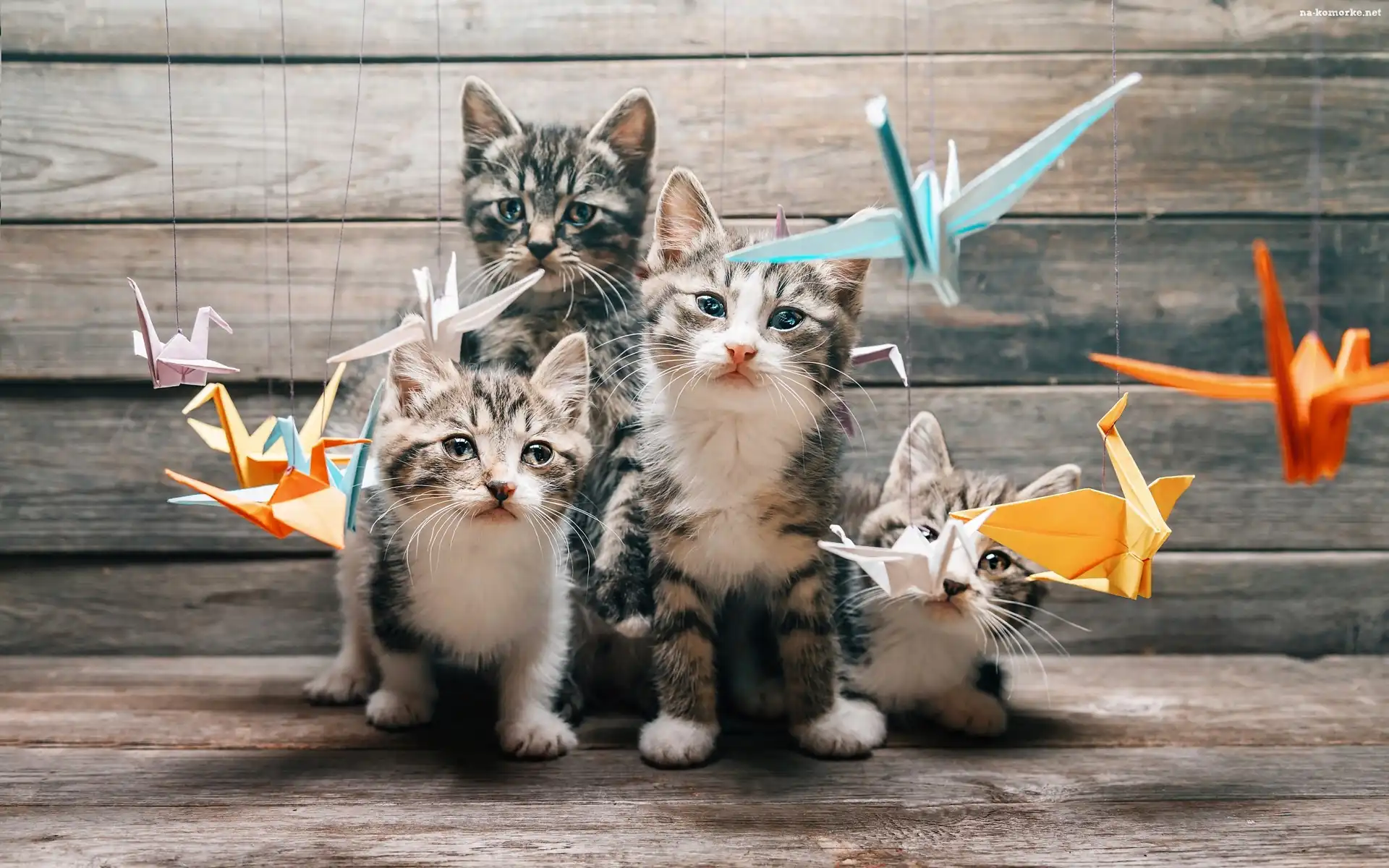 Origami, Koty, Kotki, Ptaszki, Papierowe