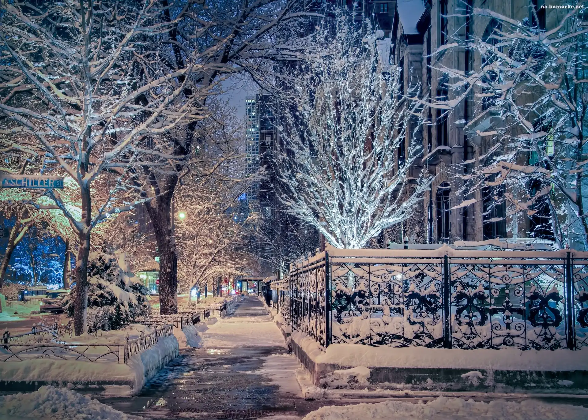 Chicago, Drzewa, Ulica, Płot, Stany Zjednoczone, Zima, Śnieg, Ośnieżone