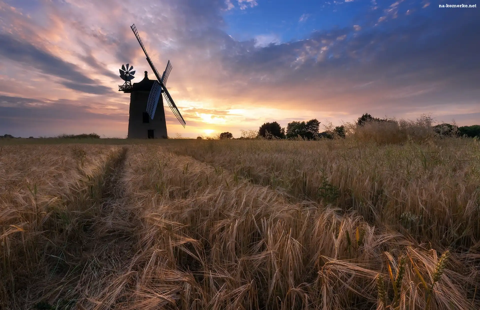 Great Haseley, Wiatrak, Pole, Anglia, Zachód słońca, Hrabstwo Oxfordshire