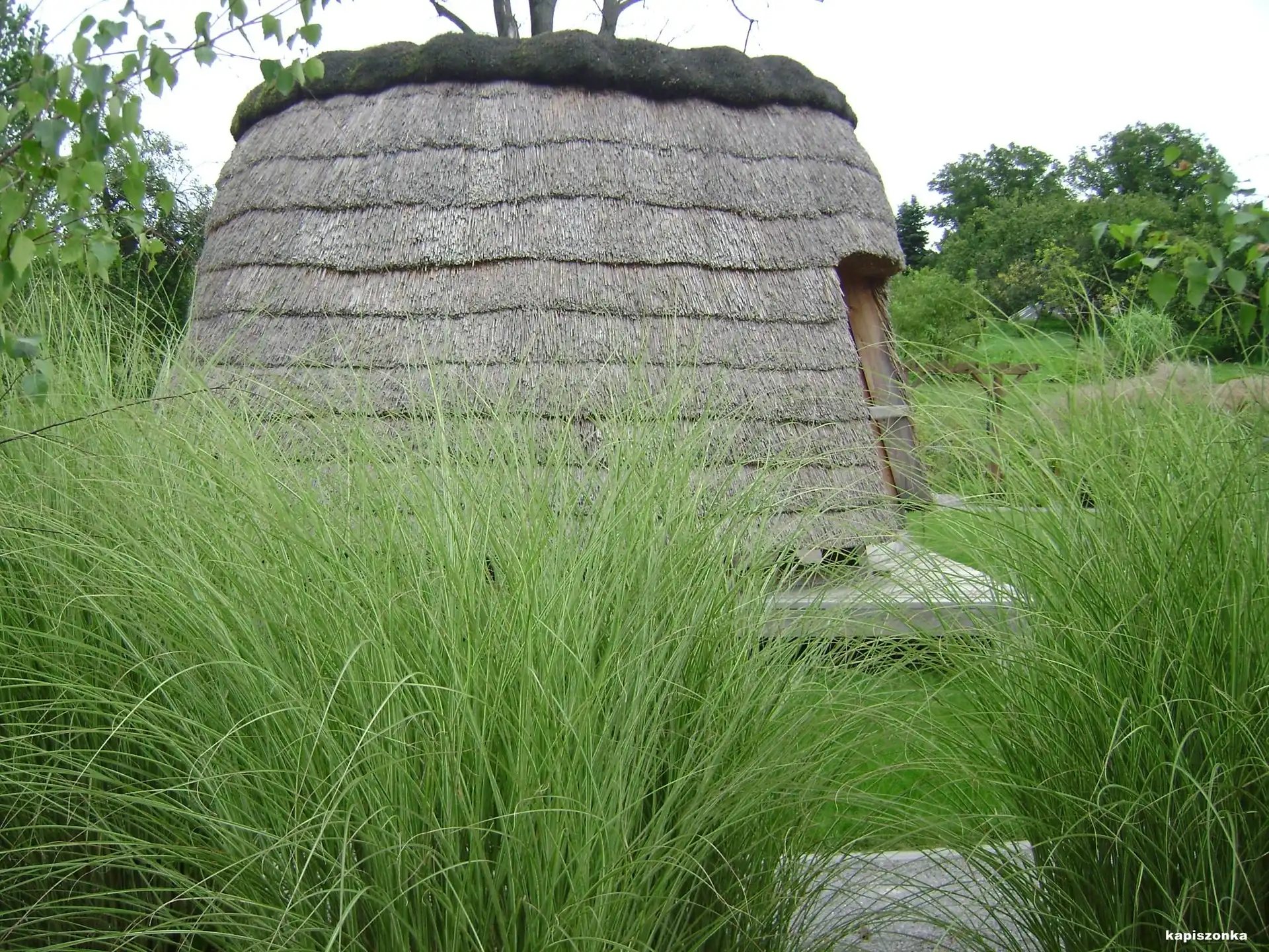 Pacanów, Domek, Zieleń, Słomiany