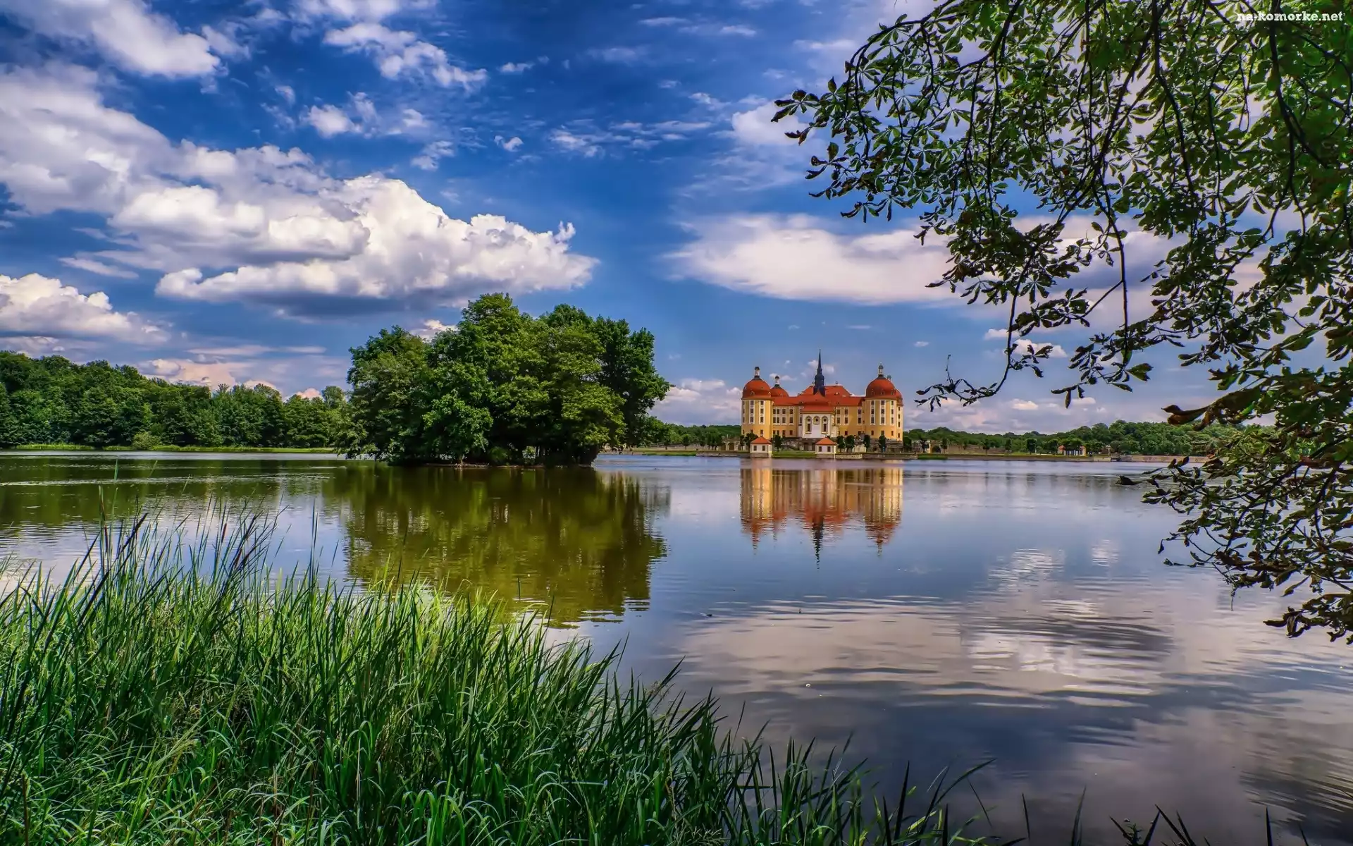 Pałac Moritzburg, Niemcy, Jezioro, Saksonia