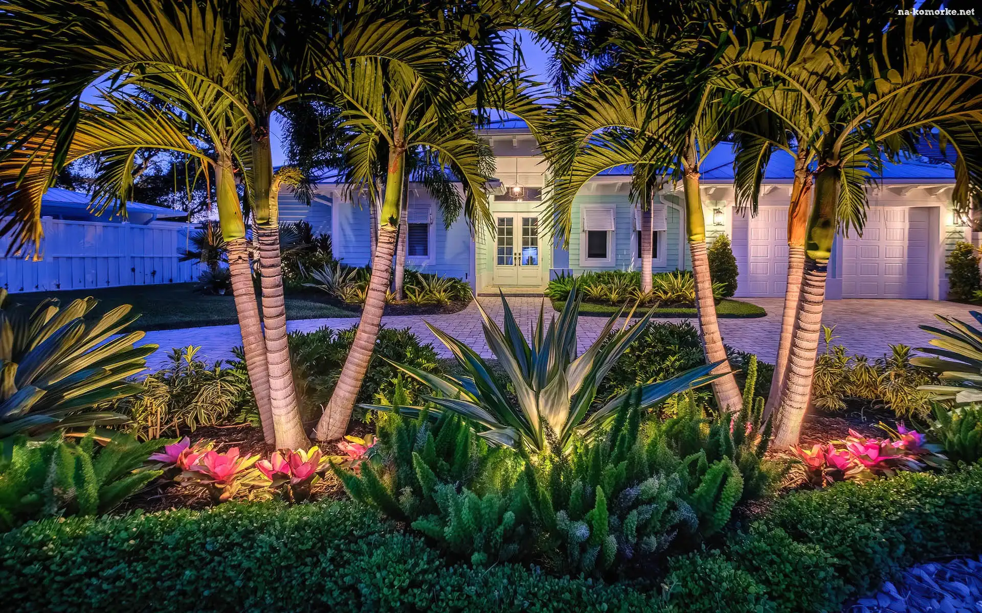 Palmy, Kaktusy, Stany Zjednoczone, Kwiaty, Palm Beach Garden, Dom, Floryda