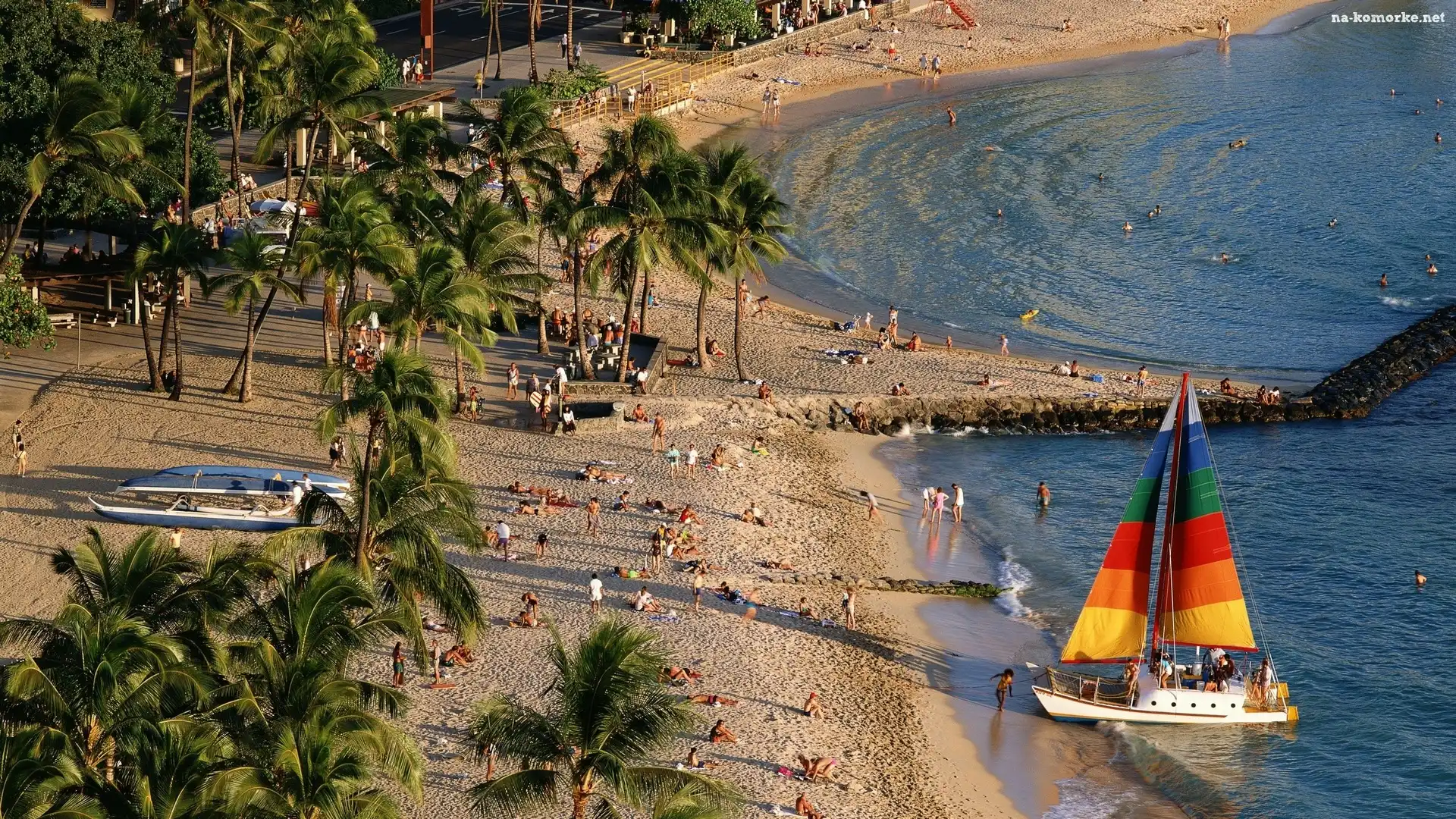 Palmy, Plaża, Jacht, Kolorowe, Żagle
