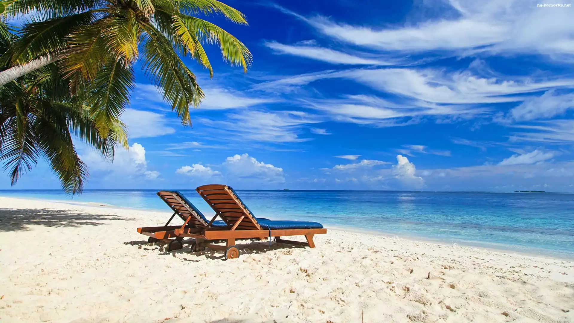 Palmy, Plaża, Bahamy, Chmury, Morze, Leżaki