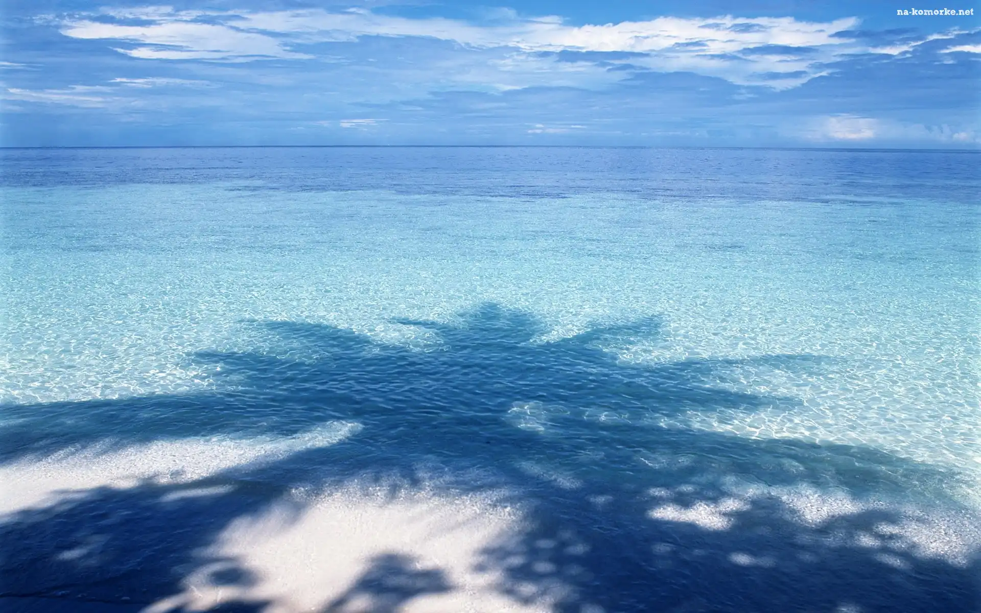 Palmy, Morze, Plaża, Niebo, Cień