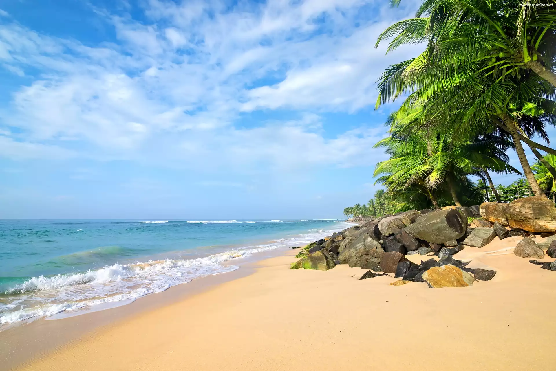 Palmy, Sri Lanka, Morze, Plaża, Kamienie