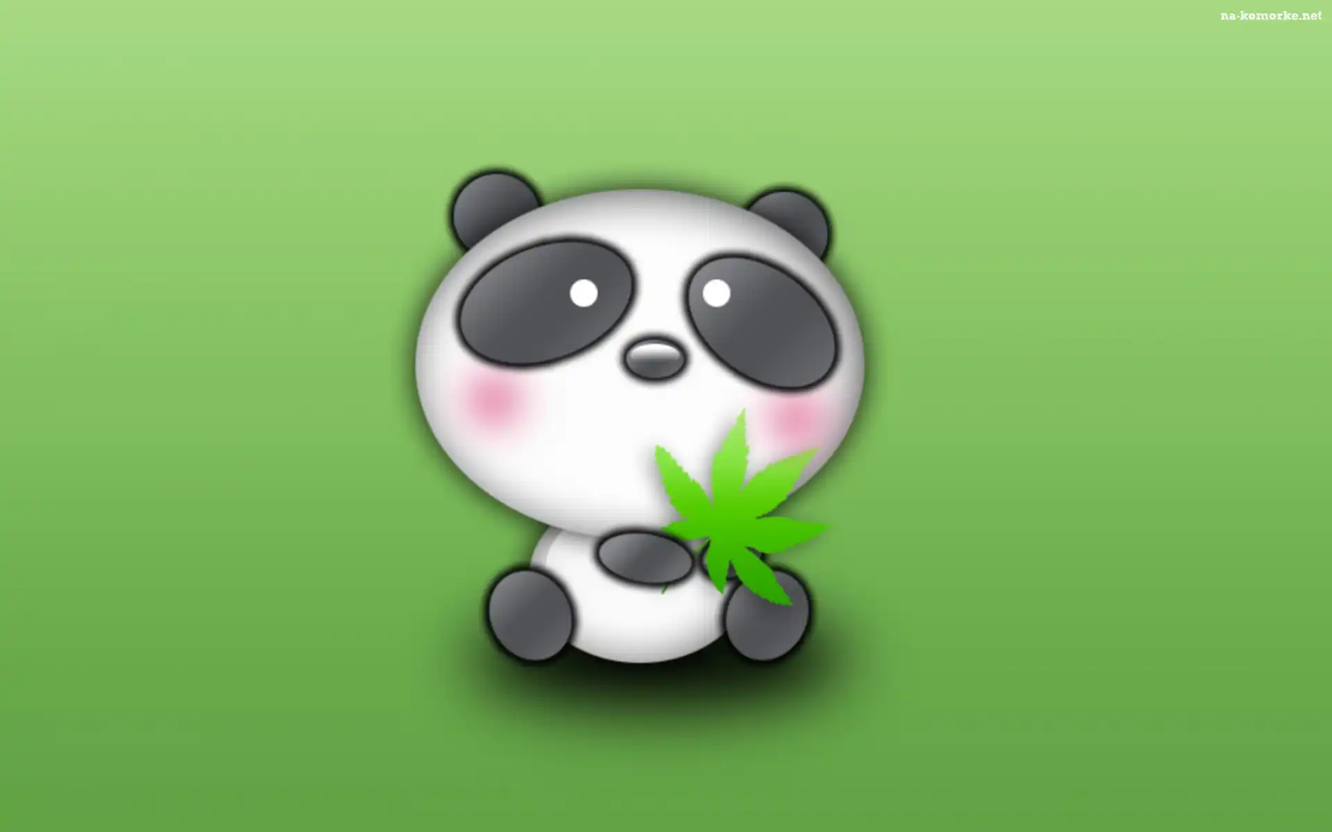 Mała, Panda, Marihuana
