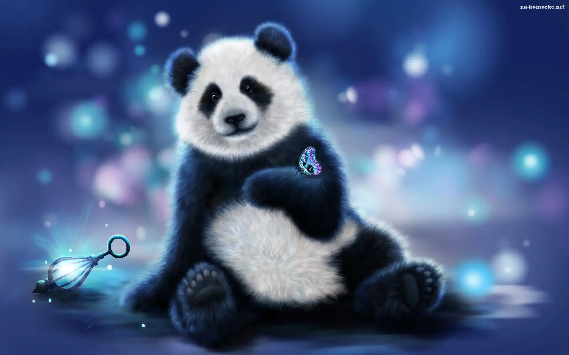Panda, Motyl