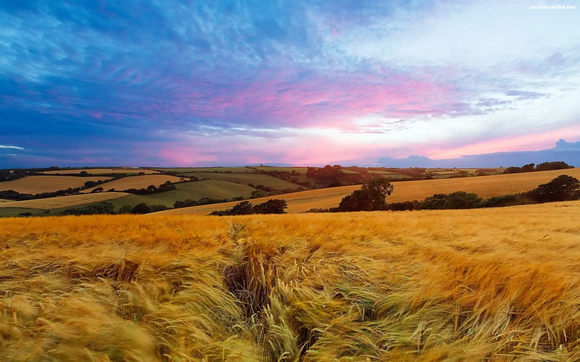 Panorama, Pola, Zboże, Łąki, Chmury