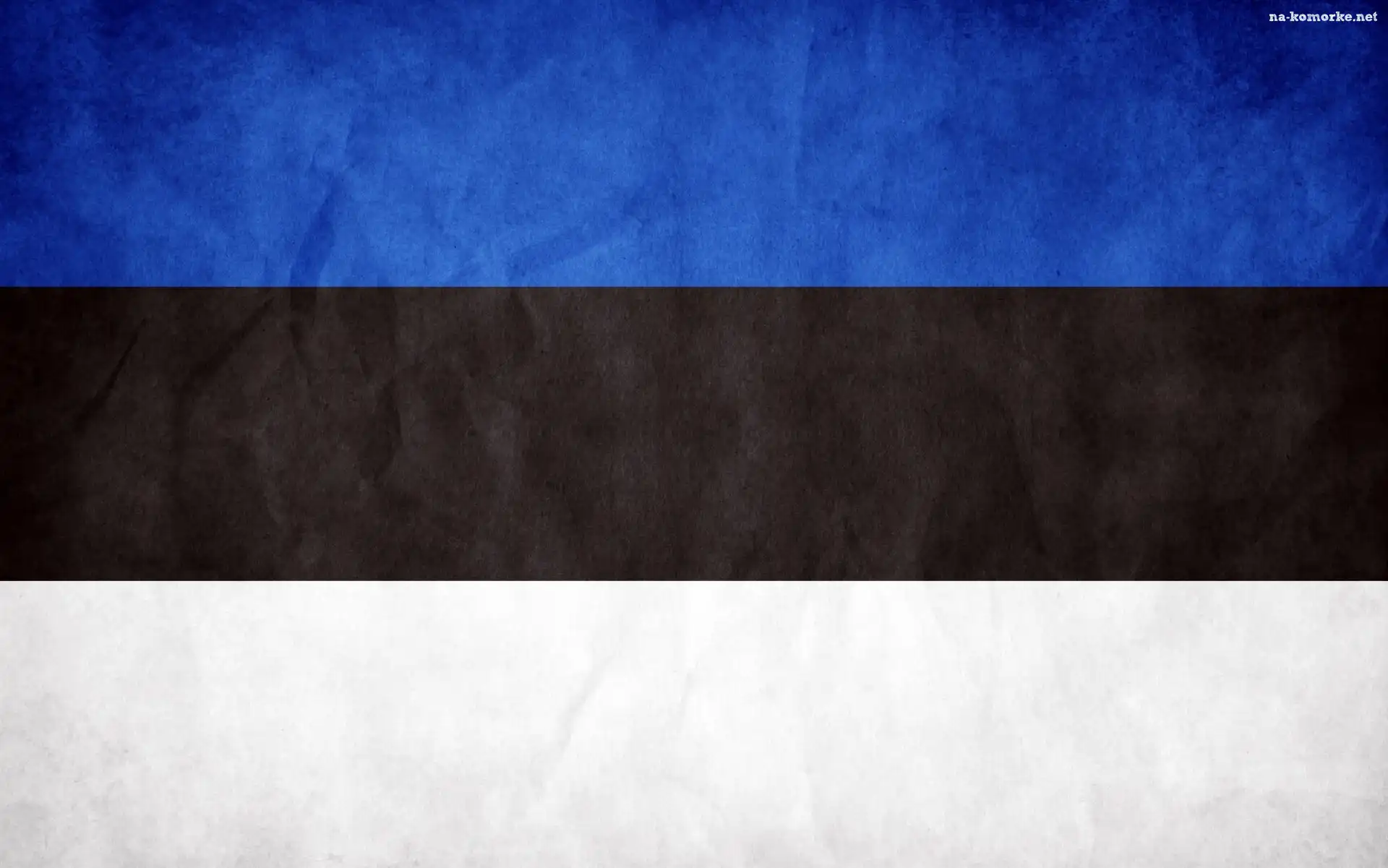 Flaga, Państwa, Estonia