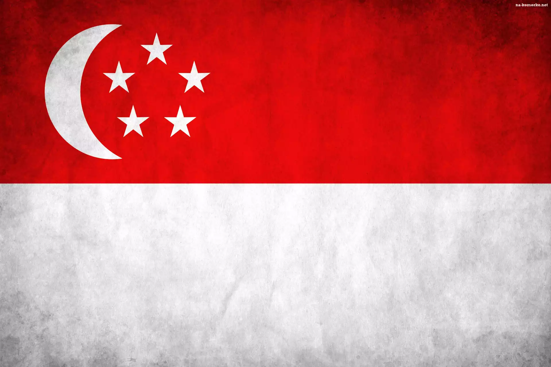 Flaga, Państwa, Singapur