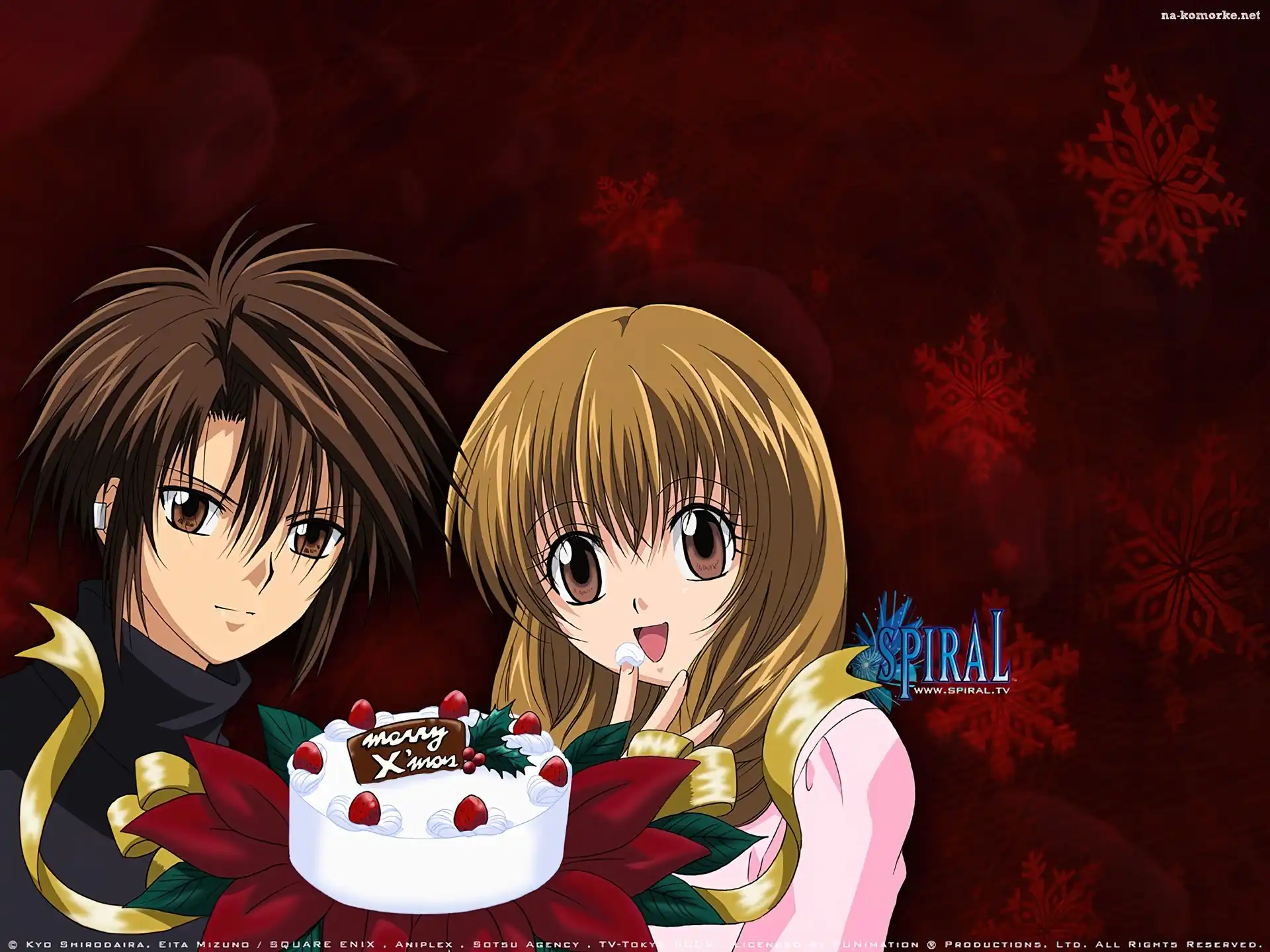 Spiral, para, tort