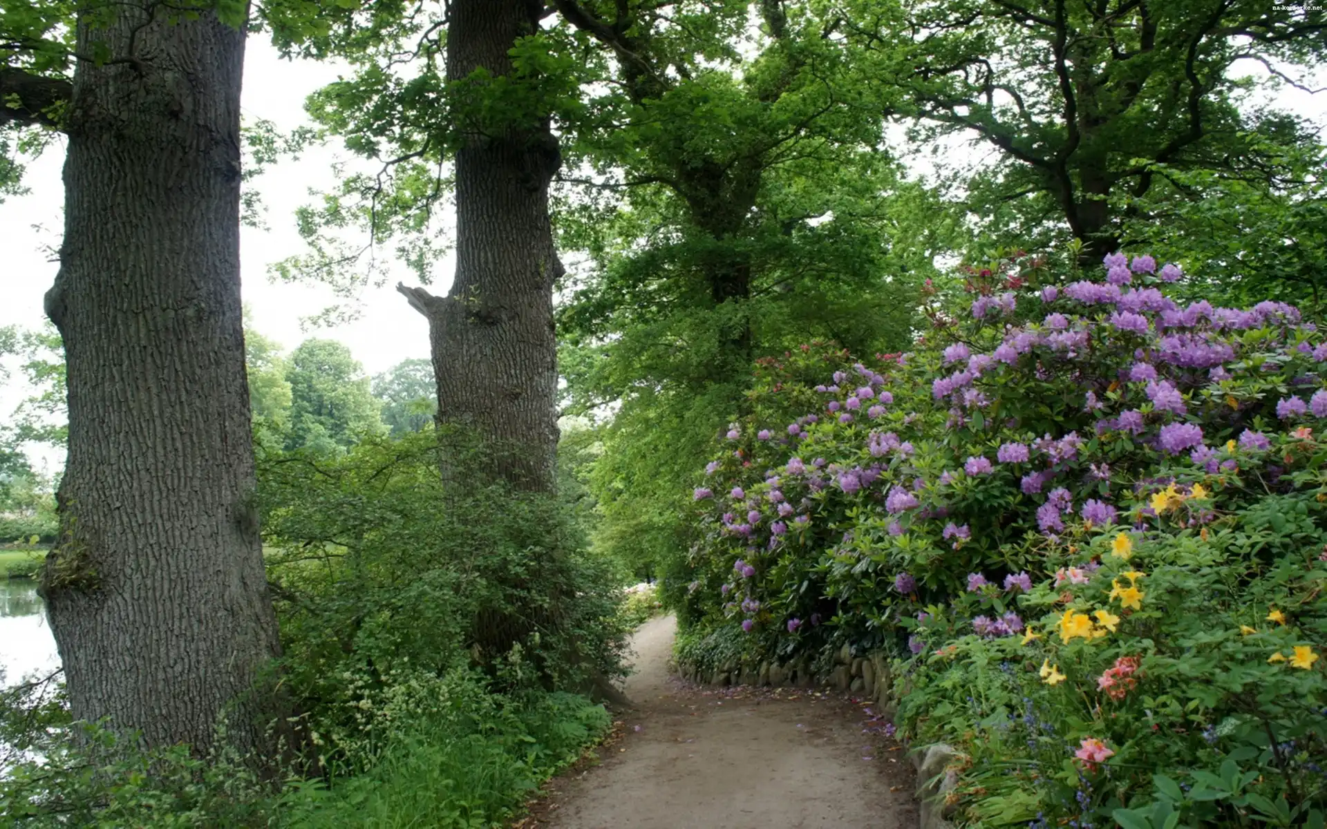 Park