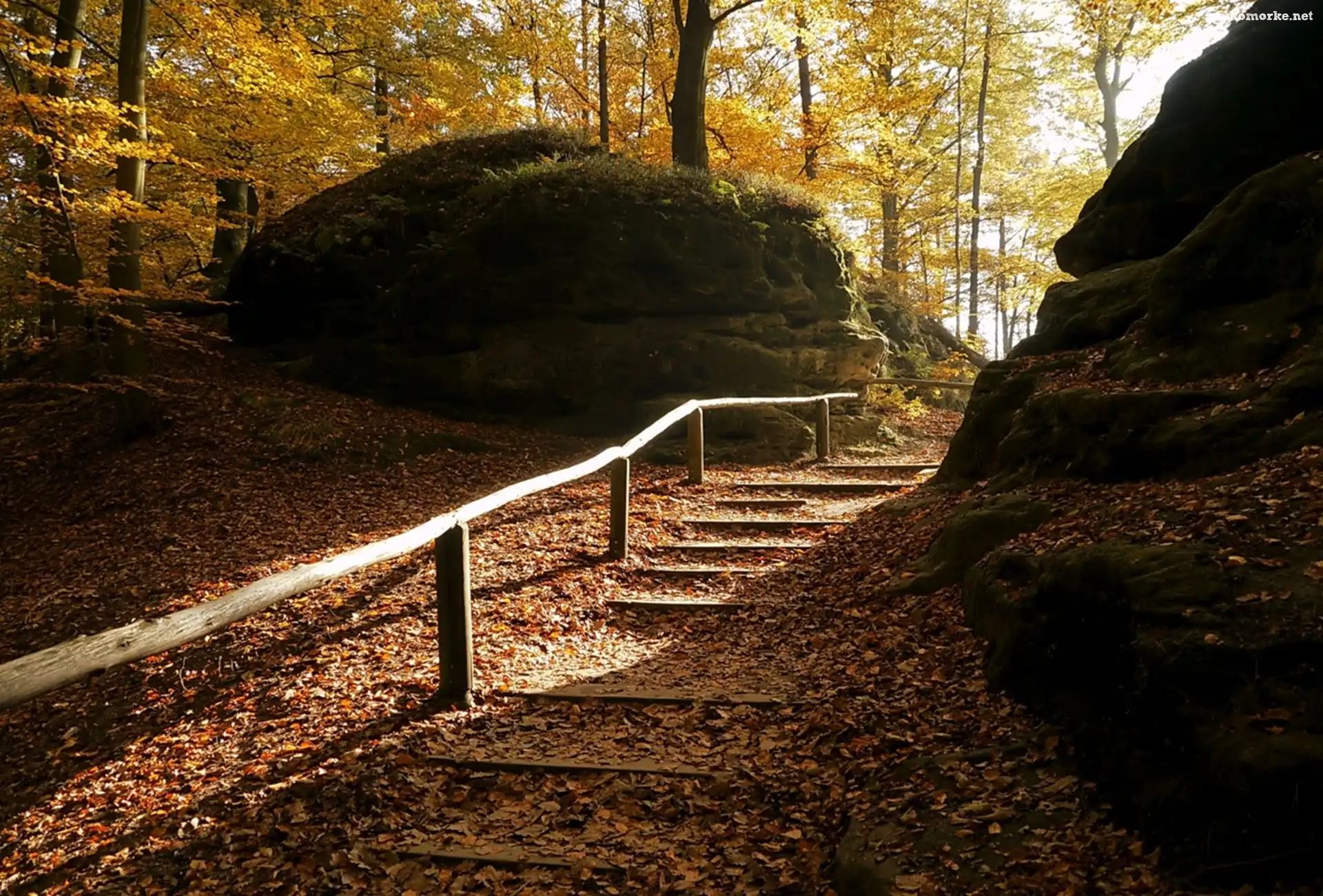 Park