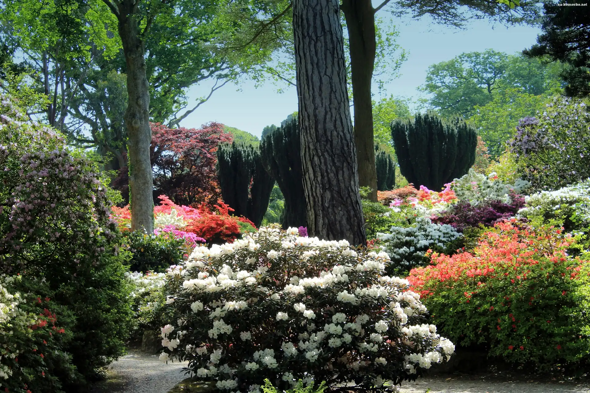 Park