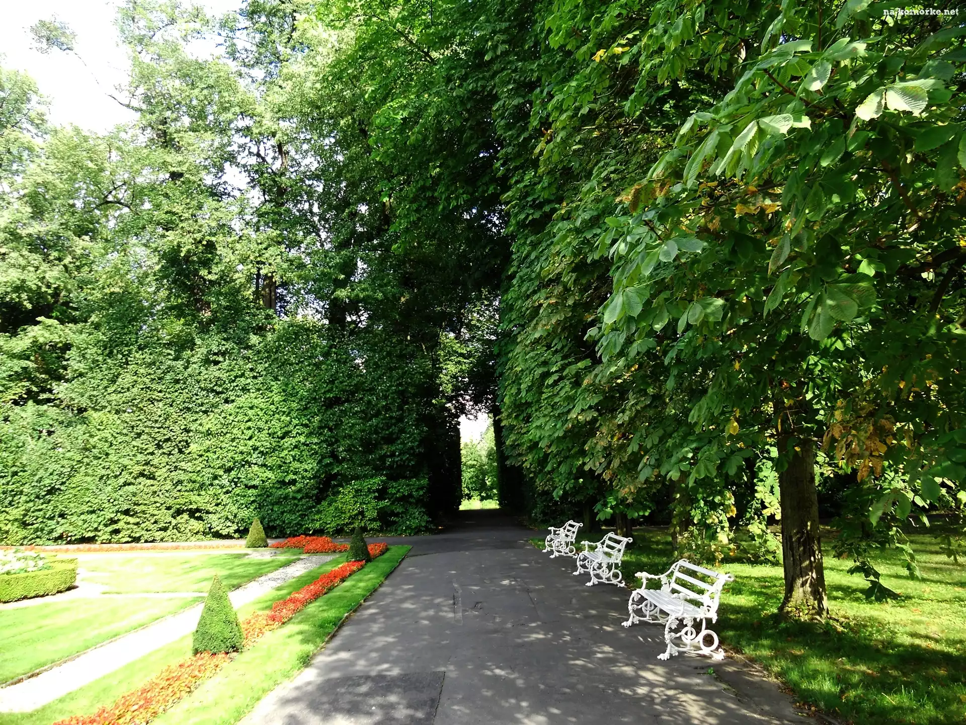 Park, Drzewa, Aleja, Ławki