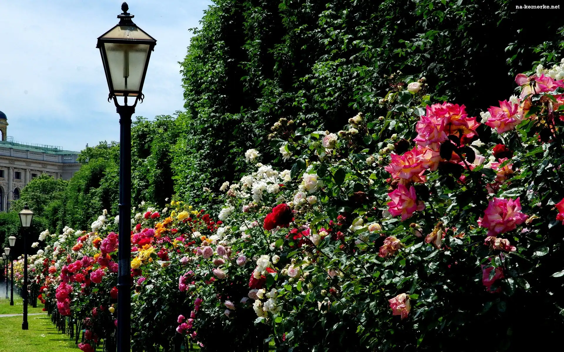 Park, Latarnia, Aleja, Róż