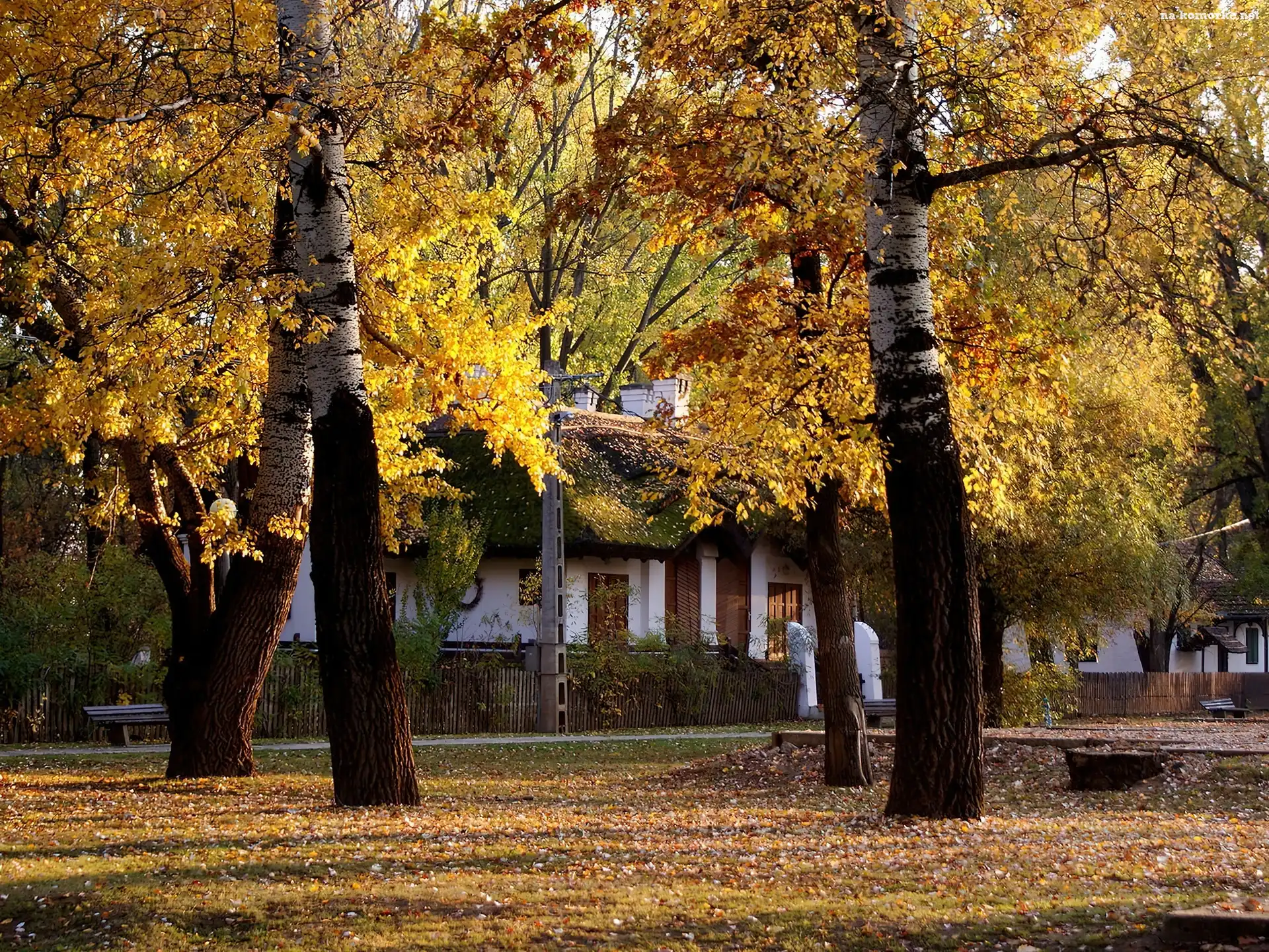 Park, Jesień, Alejka, Ławki