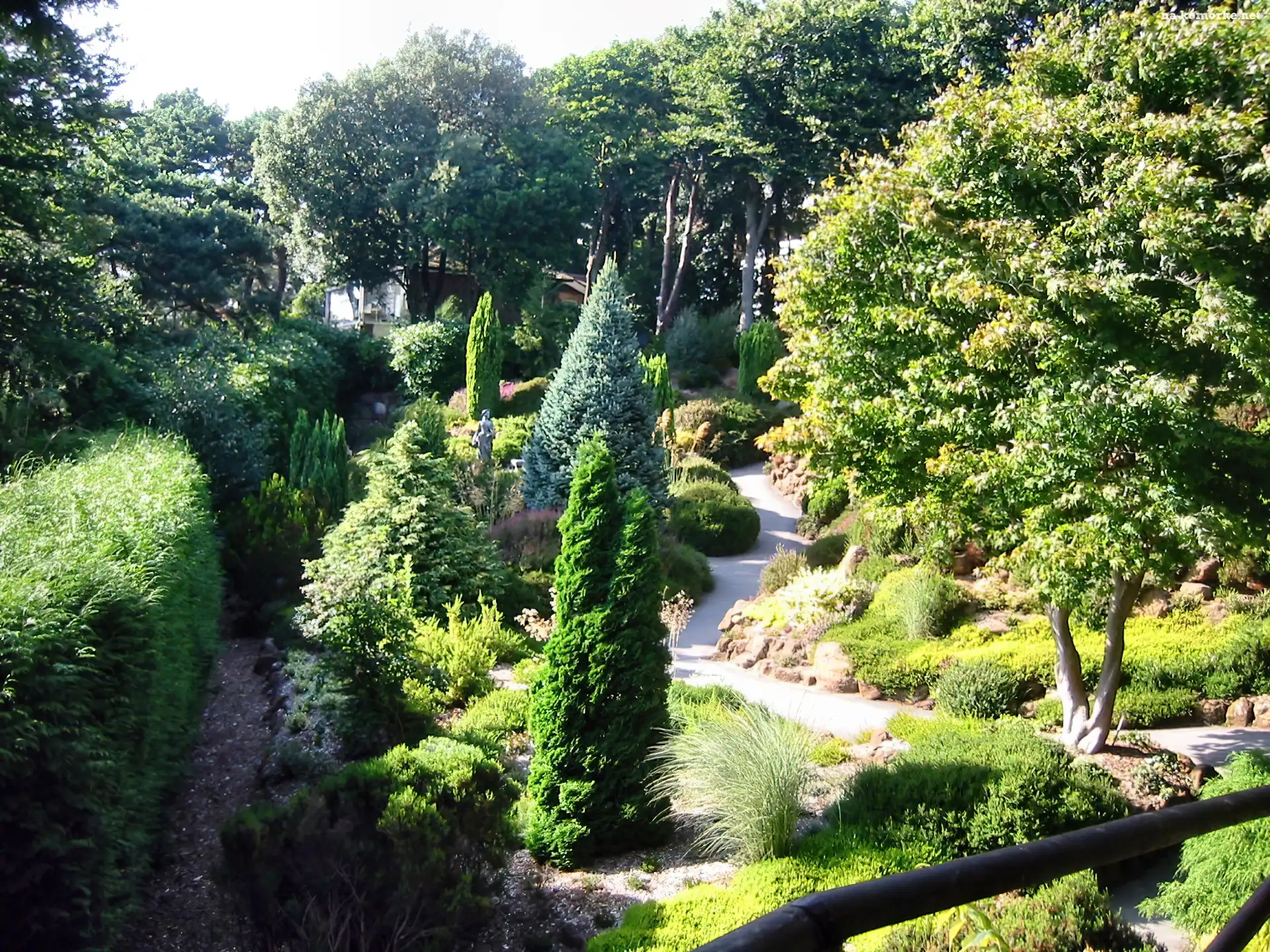 Park, Zieleń, Alejki, Iglaki