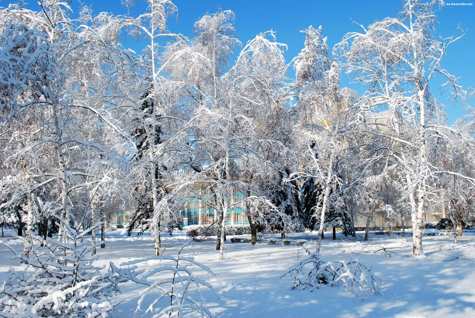 Park, Zima, Alejki, Ławki
