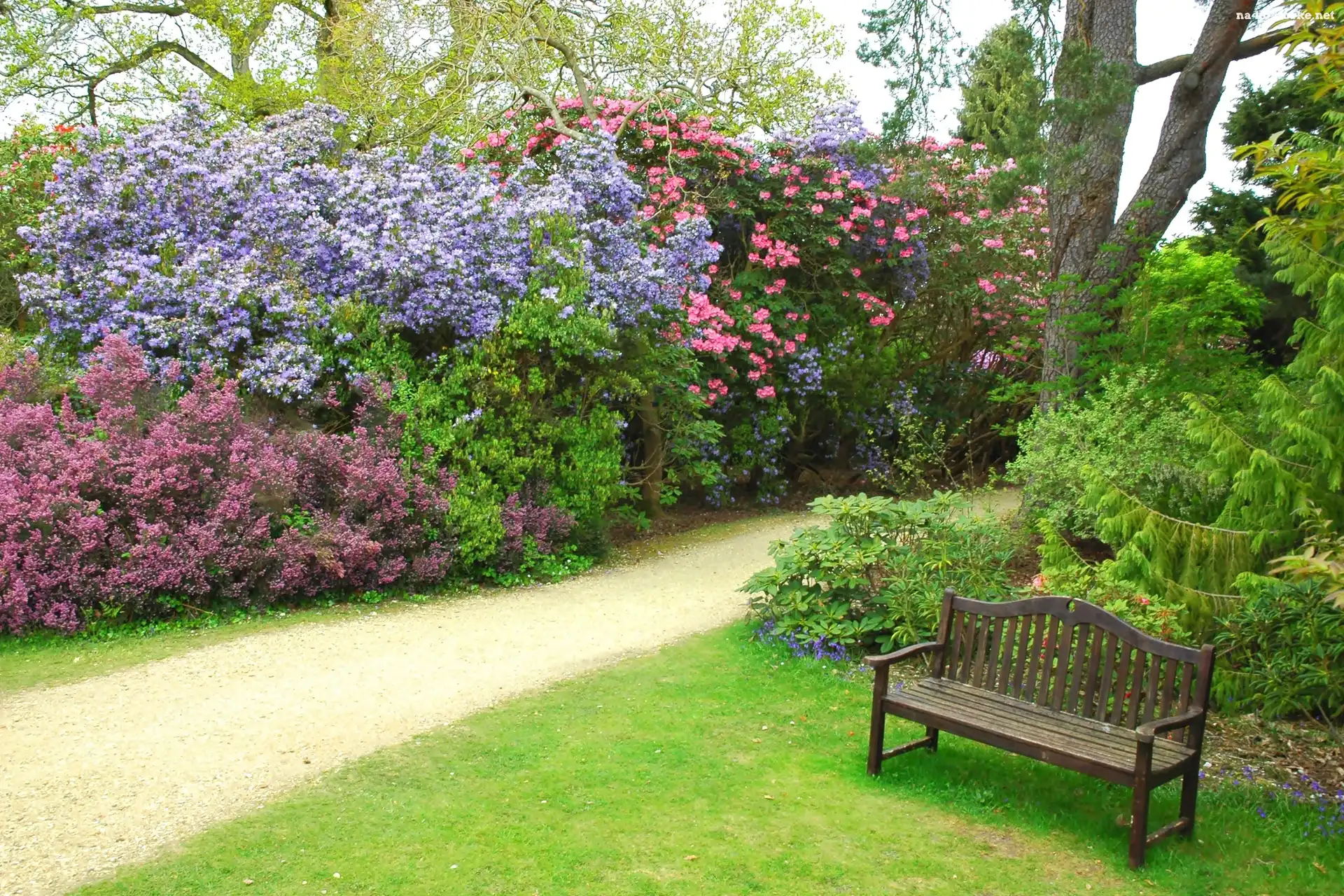 Park, Ławeczka