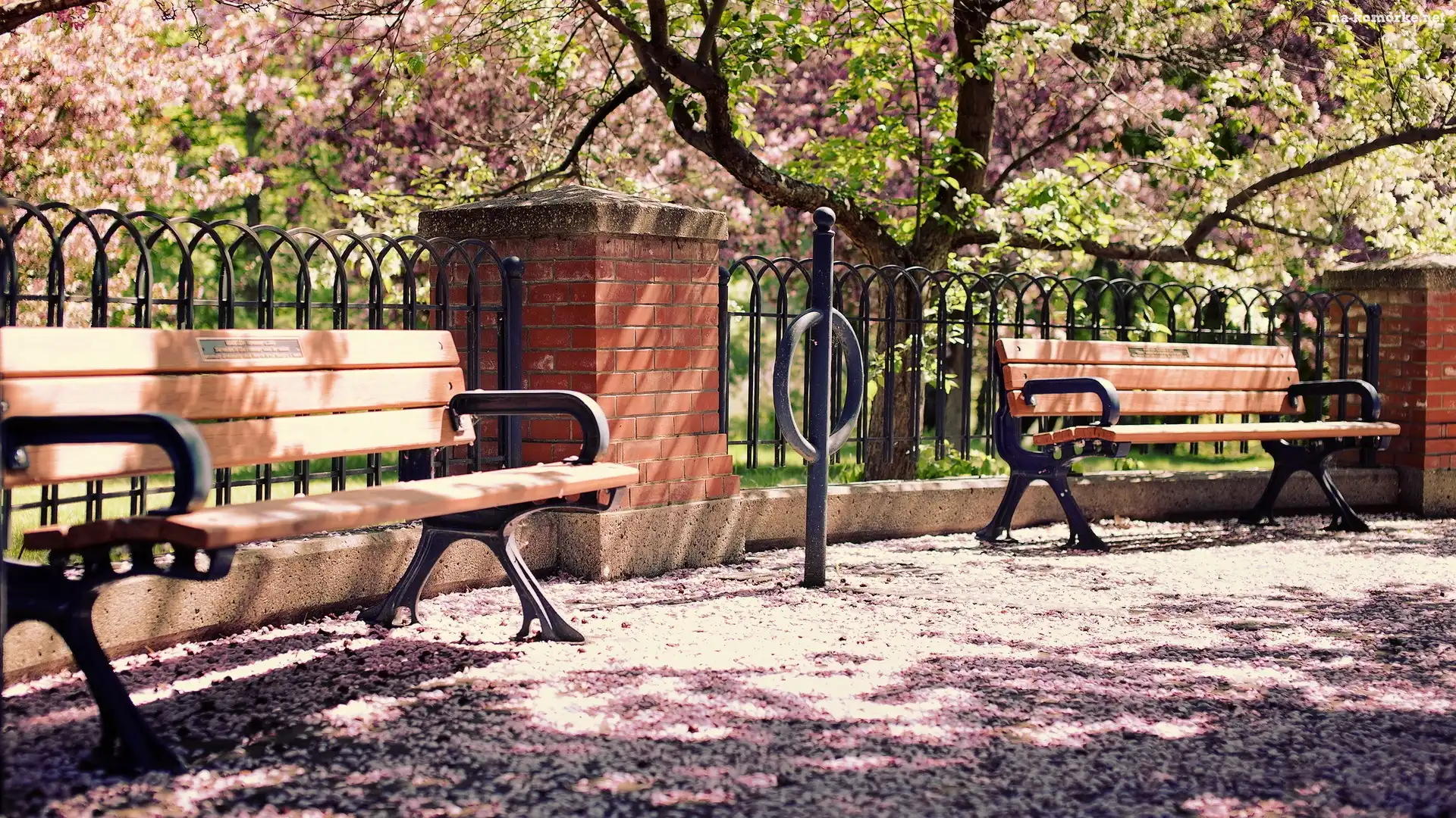 Park, Drzewa, Ławeczki, Płotek
