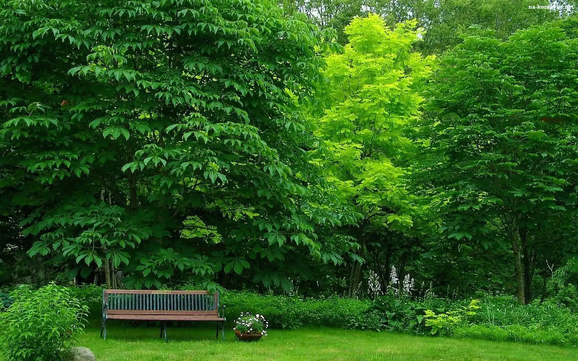Park, Ławka