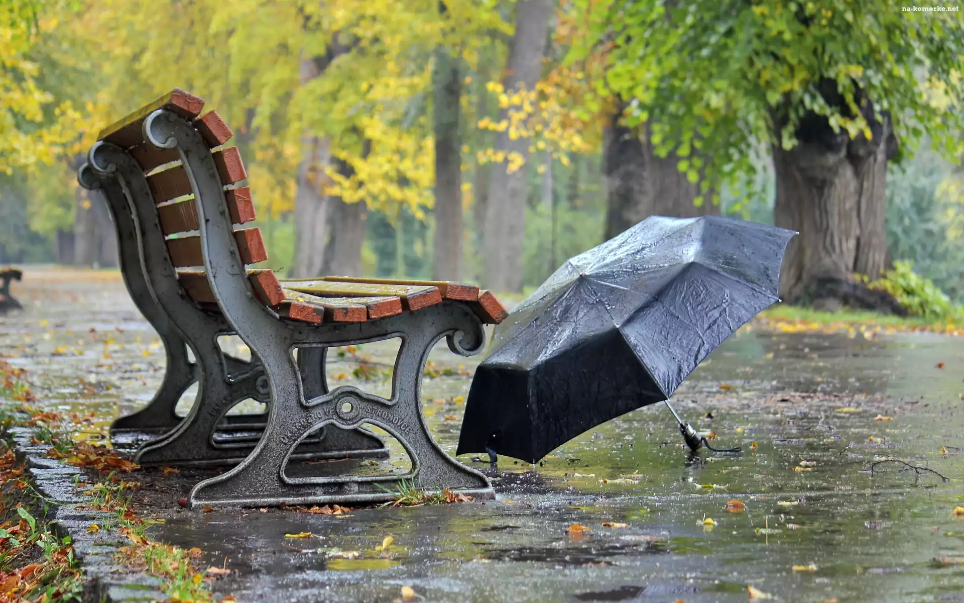 Park, Jesień, Ławka, Parasol