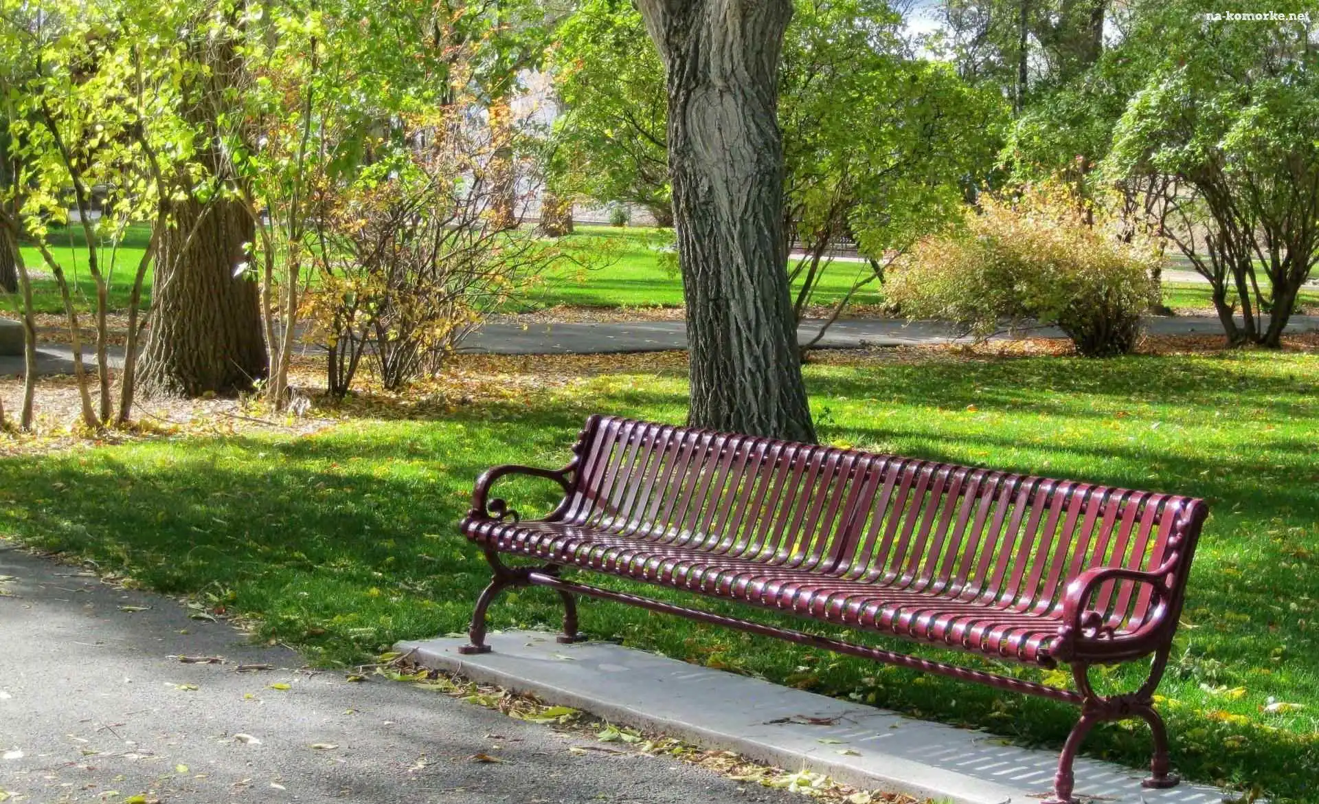 Park, Ławka