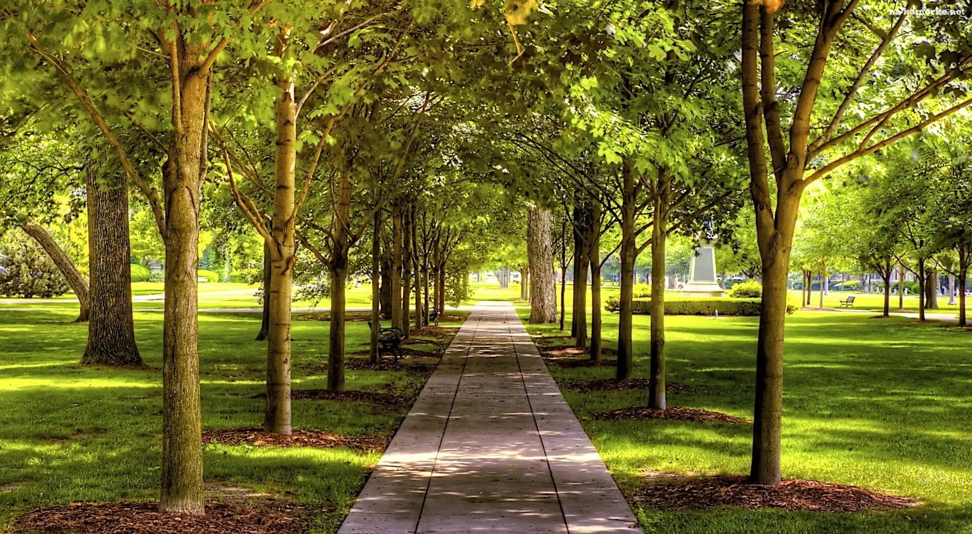 Park, Chodnik