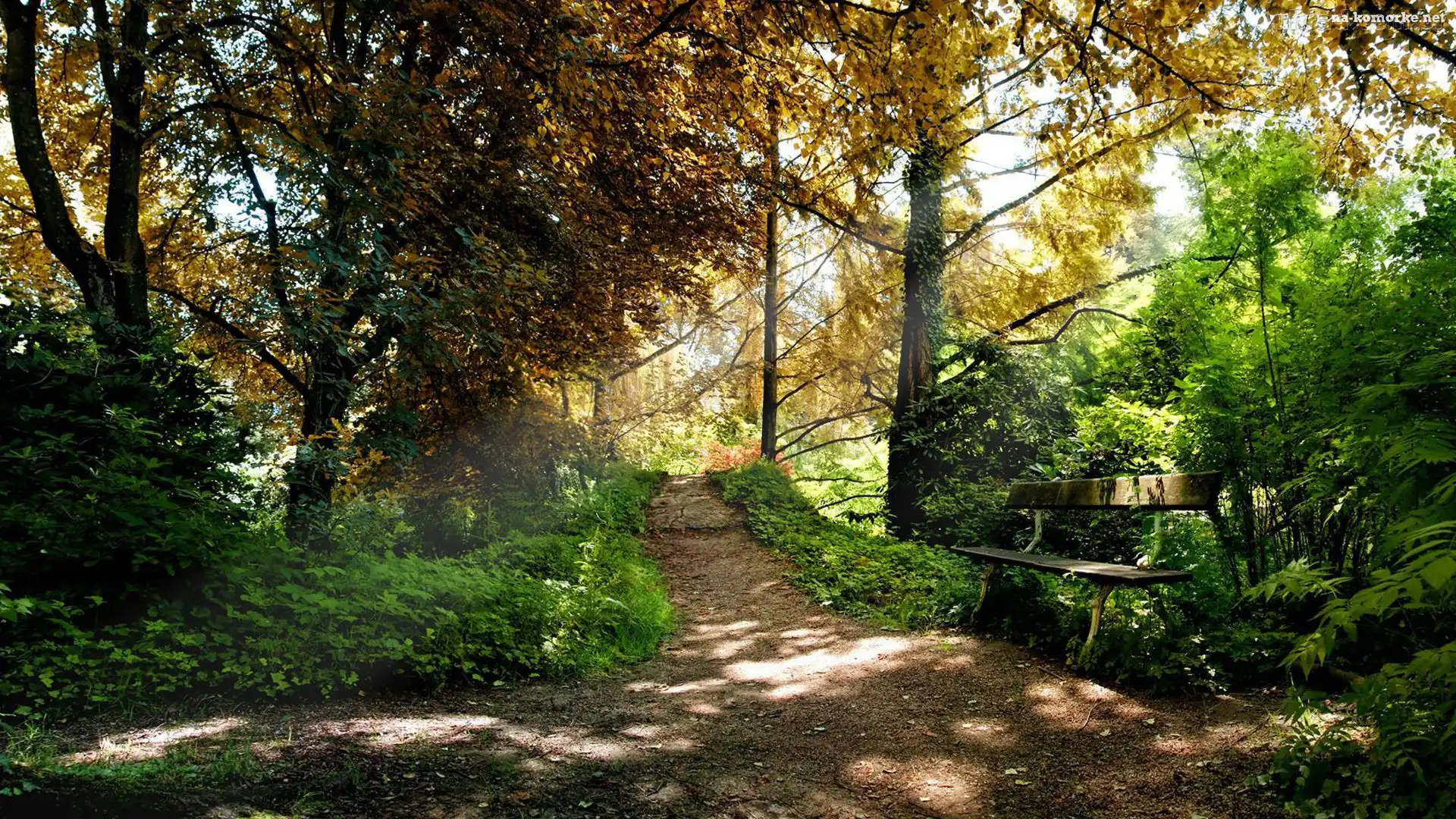 Park, Drzewa, Ścieżka, Ławeczka