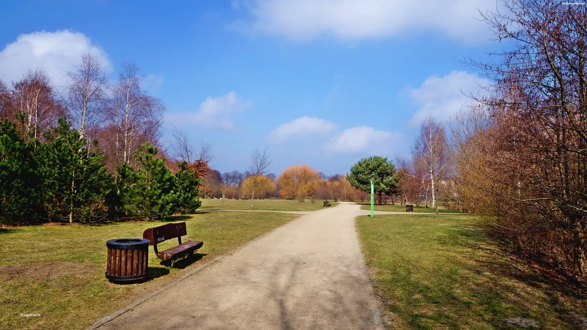 Park, Drzewa, Ścieżka, Ławka