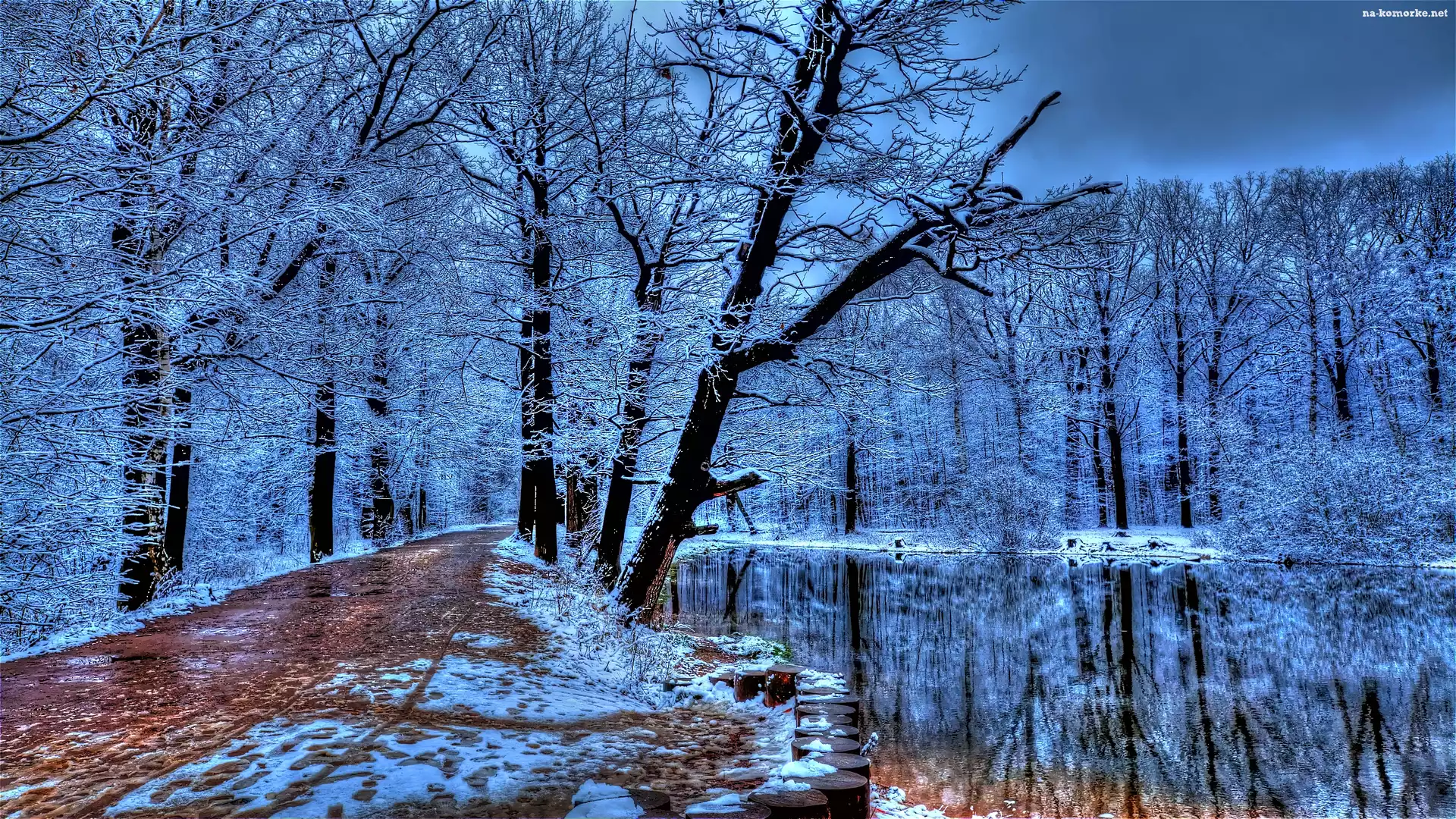 Park, Zima, Droga, Rzeka
